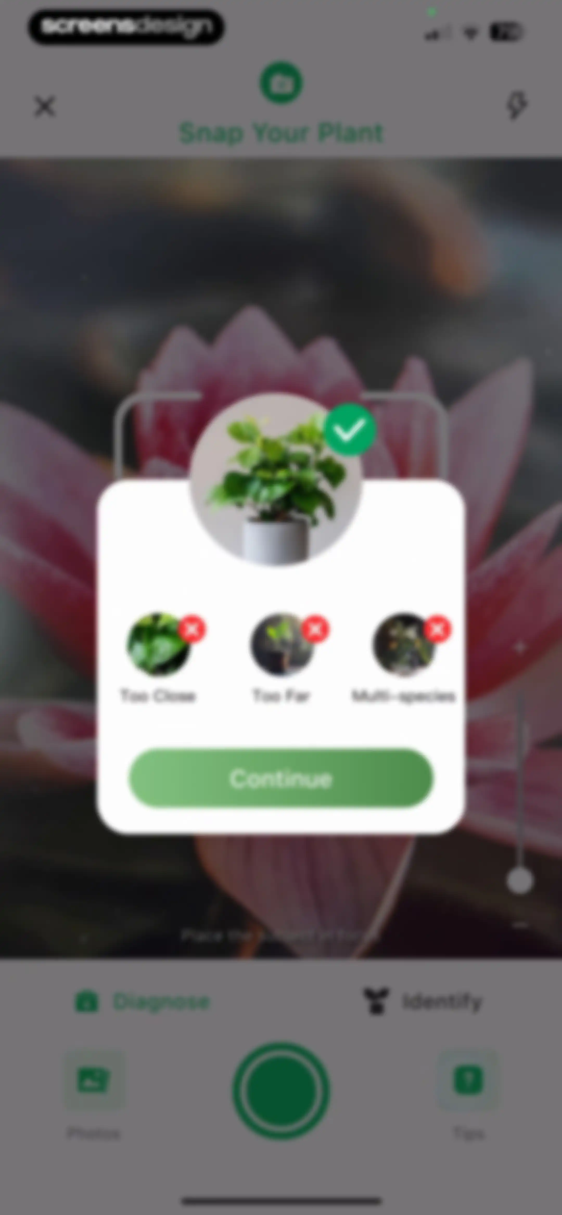 Plant Identifier: ChatPlant AI screen 26