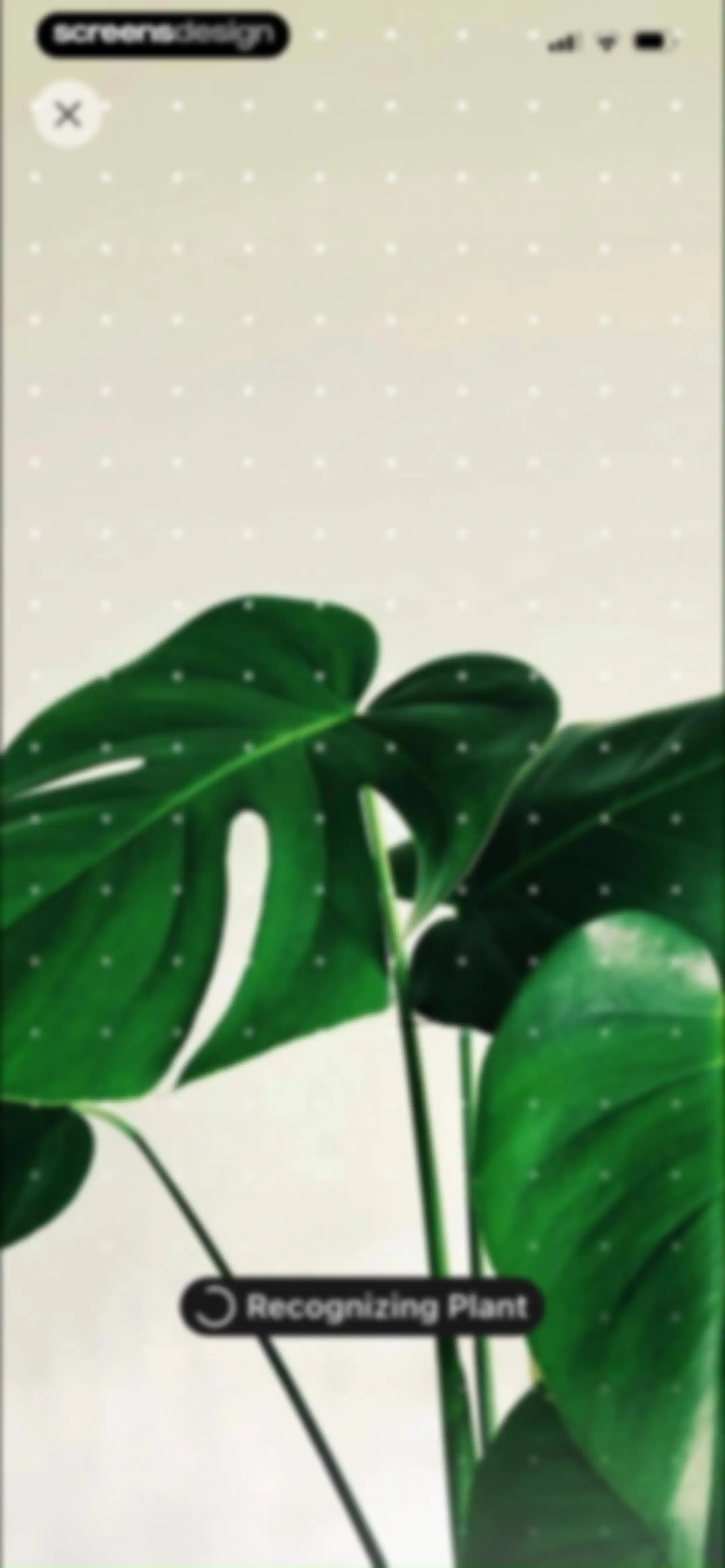 PlantAID:identifier&care guide screen 68