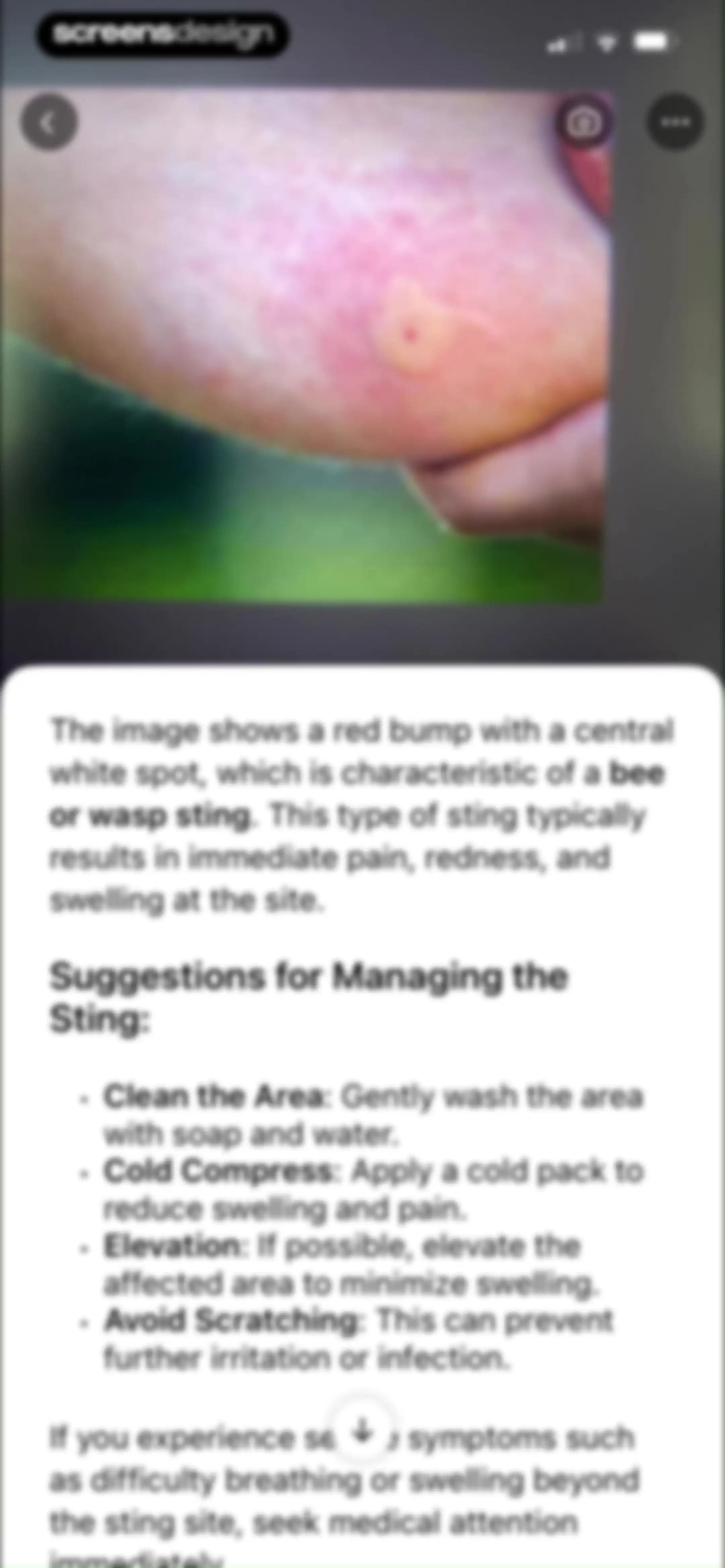 Picture Insect: Bug Identifier screen 67