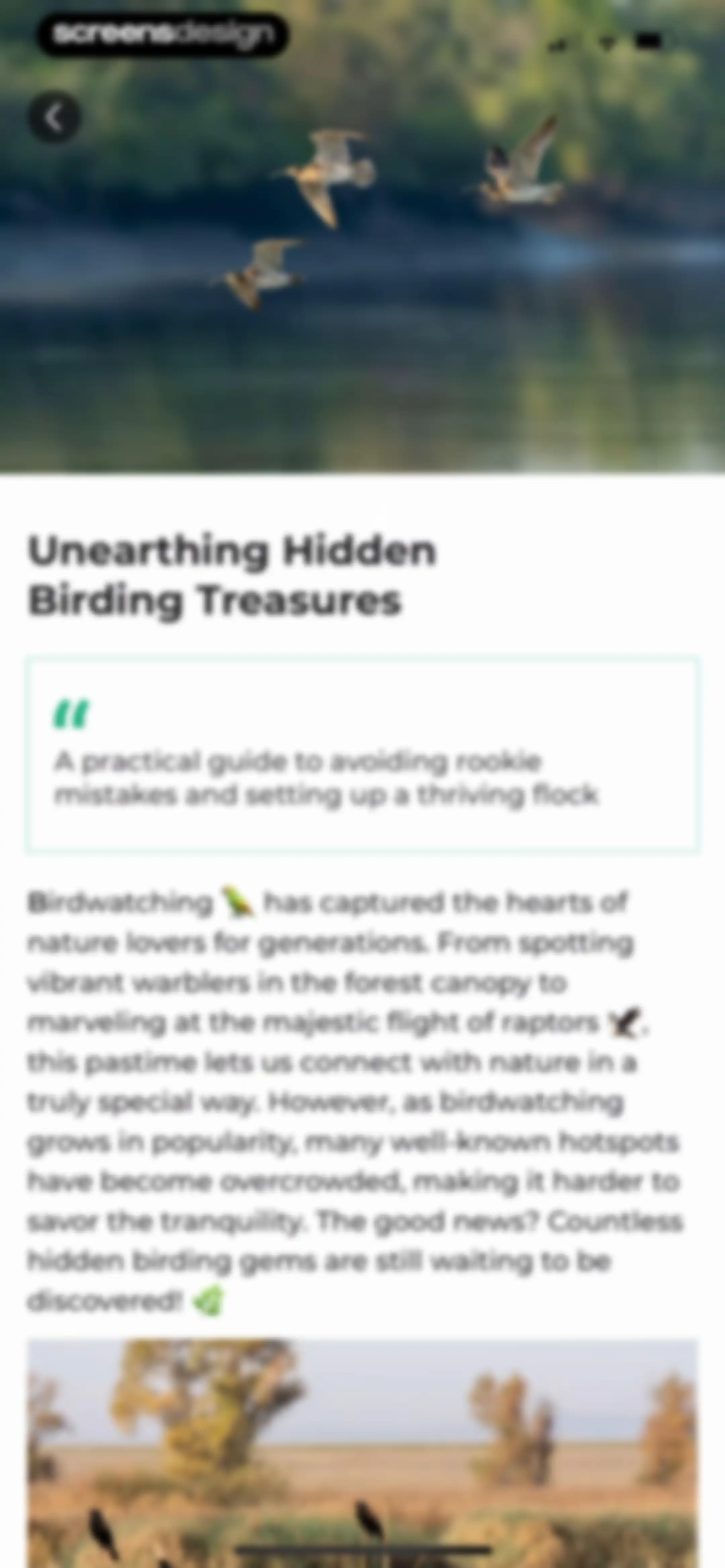 Bird Identifier: BirdScope screen 56