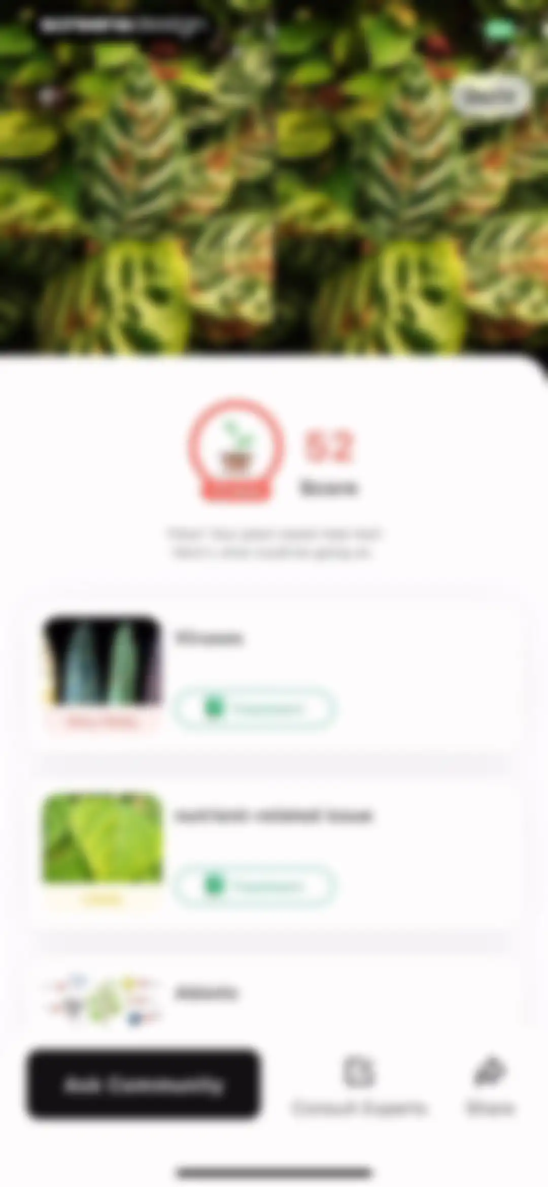 Plant Identification ++ screen 18