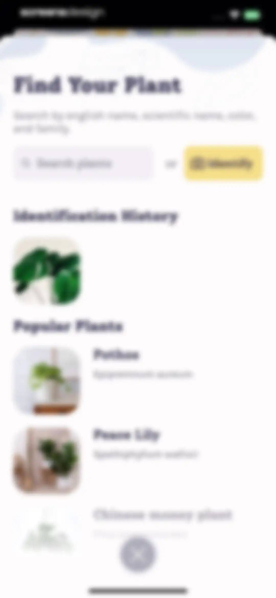 Plant Identifier, Care: Planty screen 89