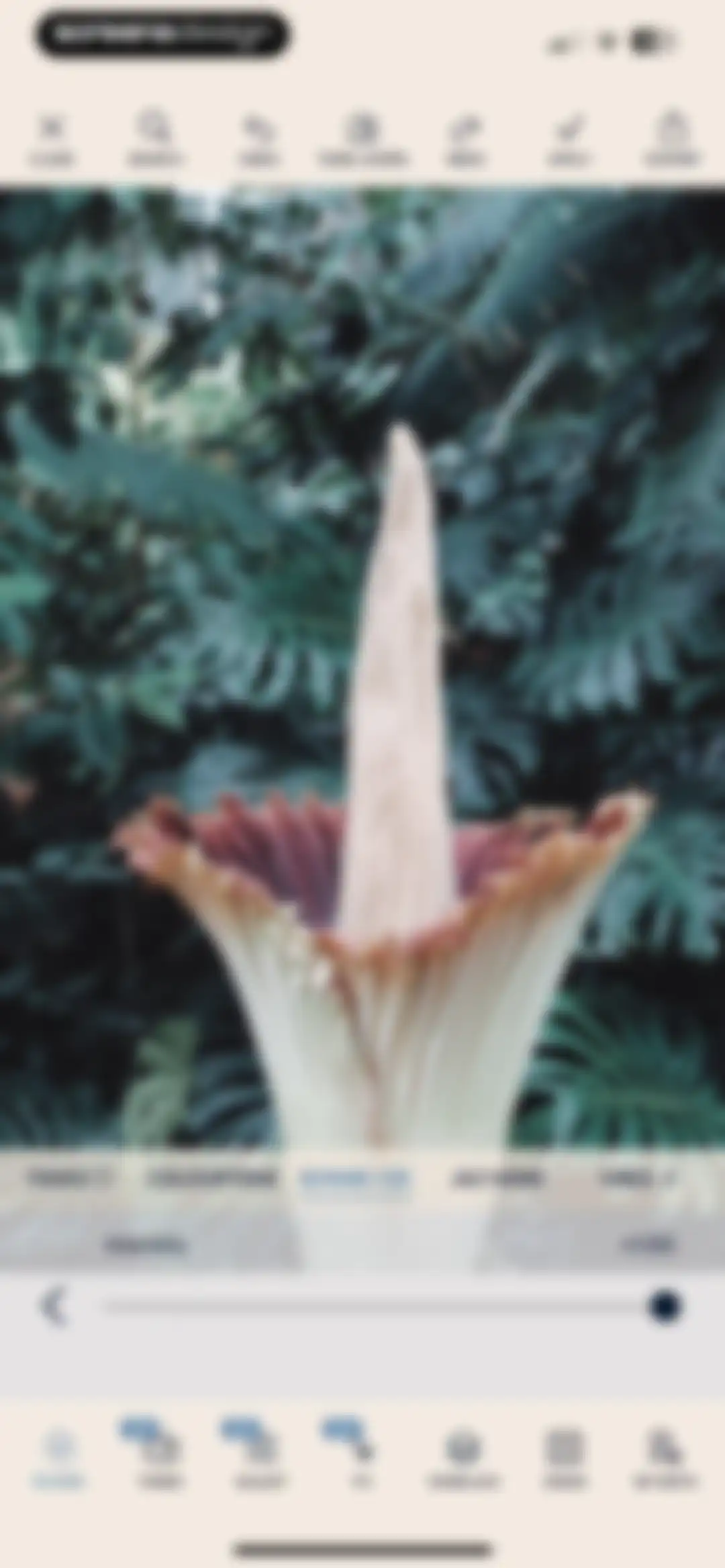 Colourtone: Photo Editor screen 28