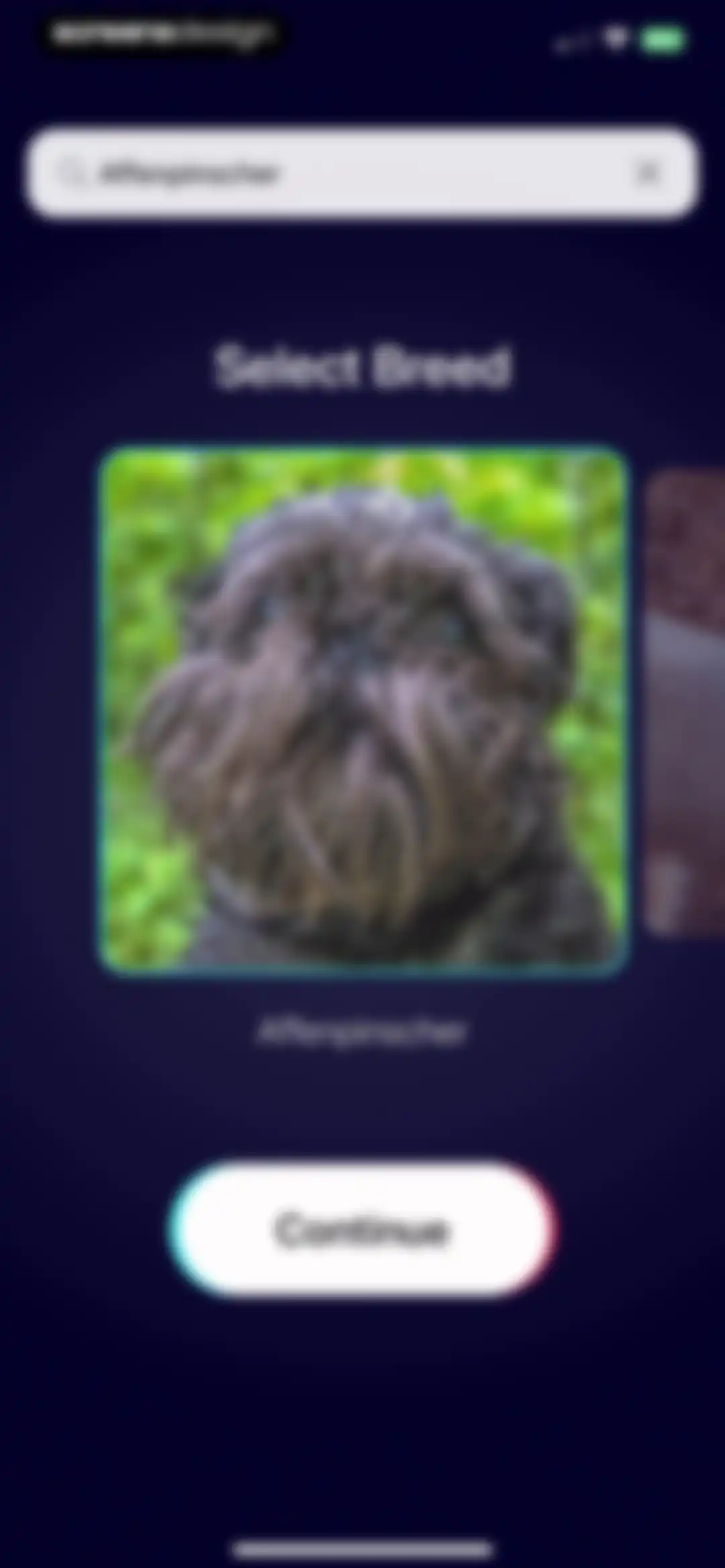 DogTok screen 2
