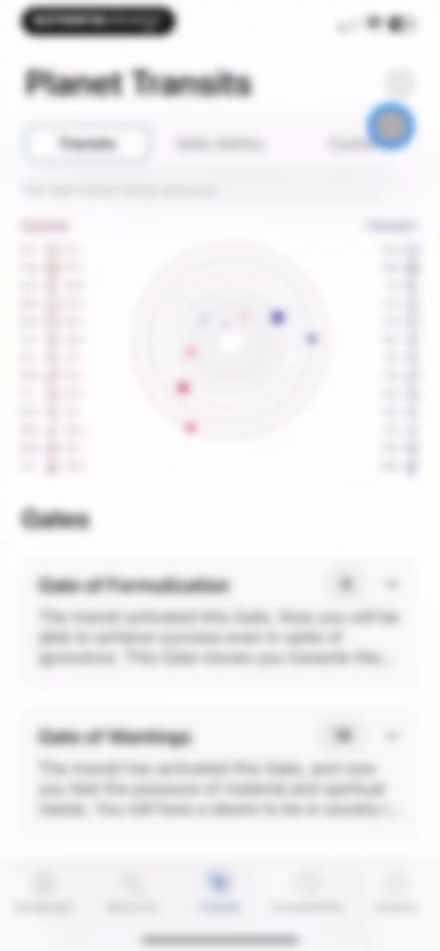 Human Design: HD Birth Chart screen 28