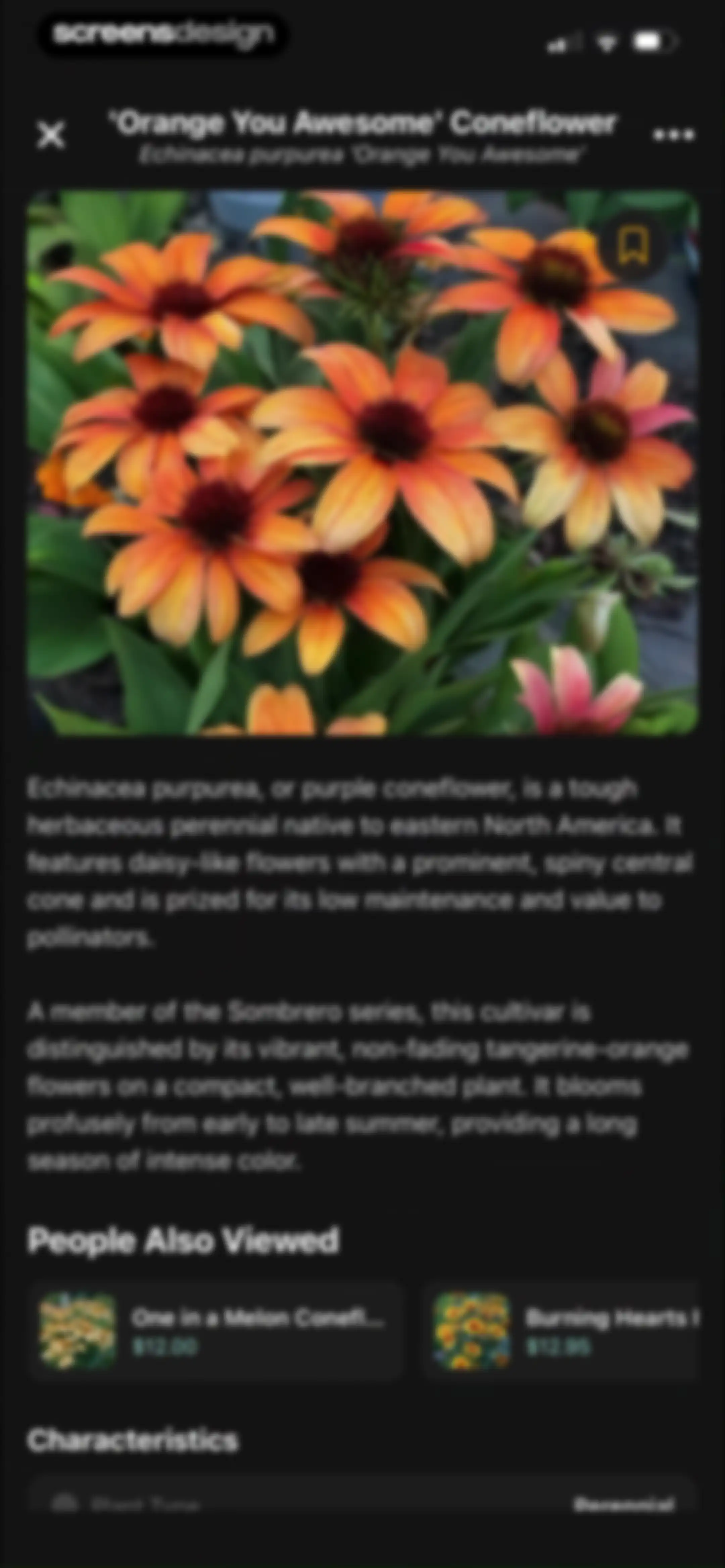 Sow: Garden & Landscape Design screen 94