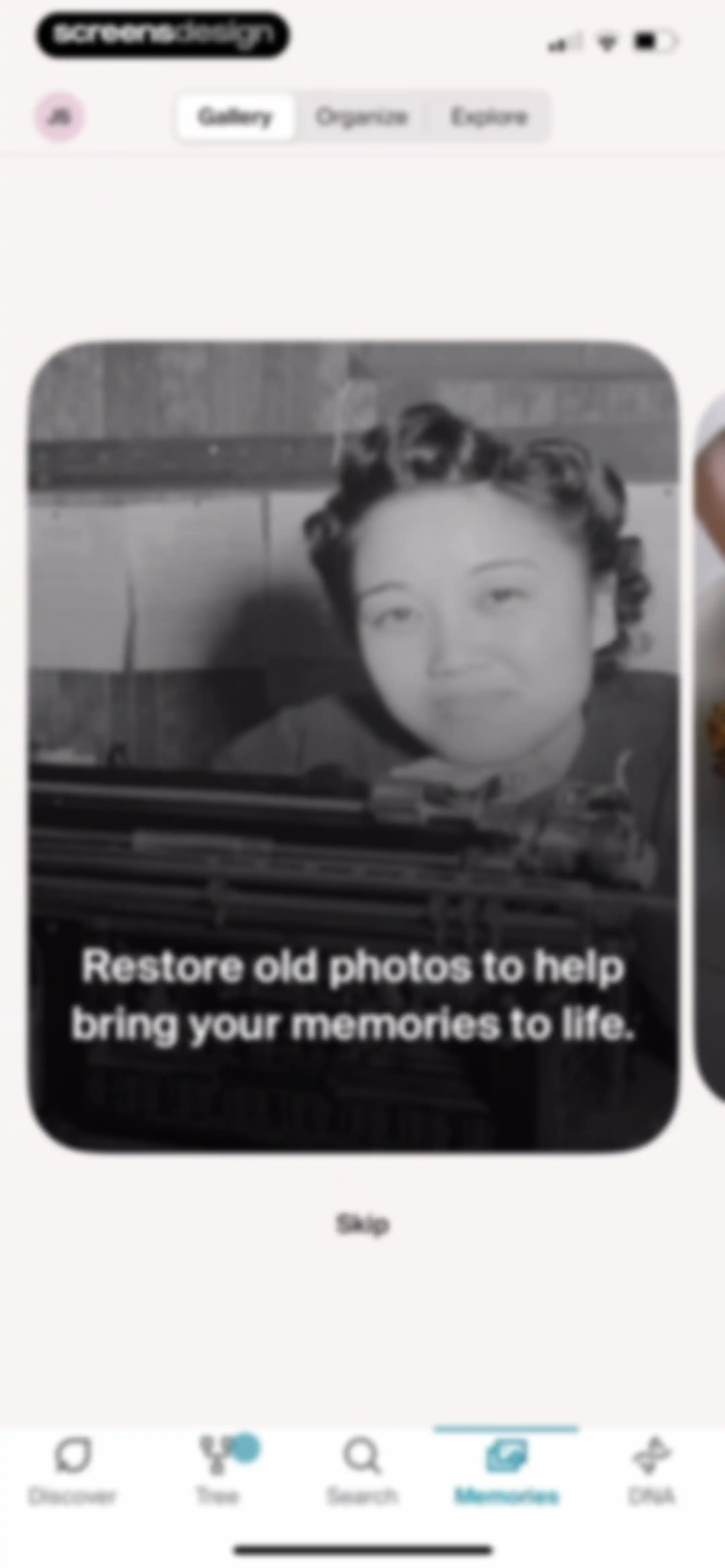Ancestry: Family History & DNA screen 204
