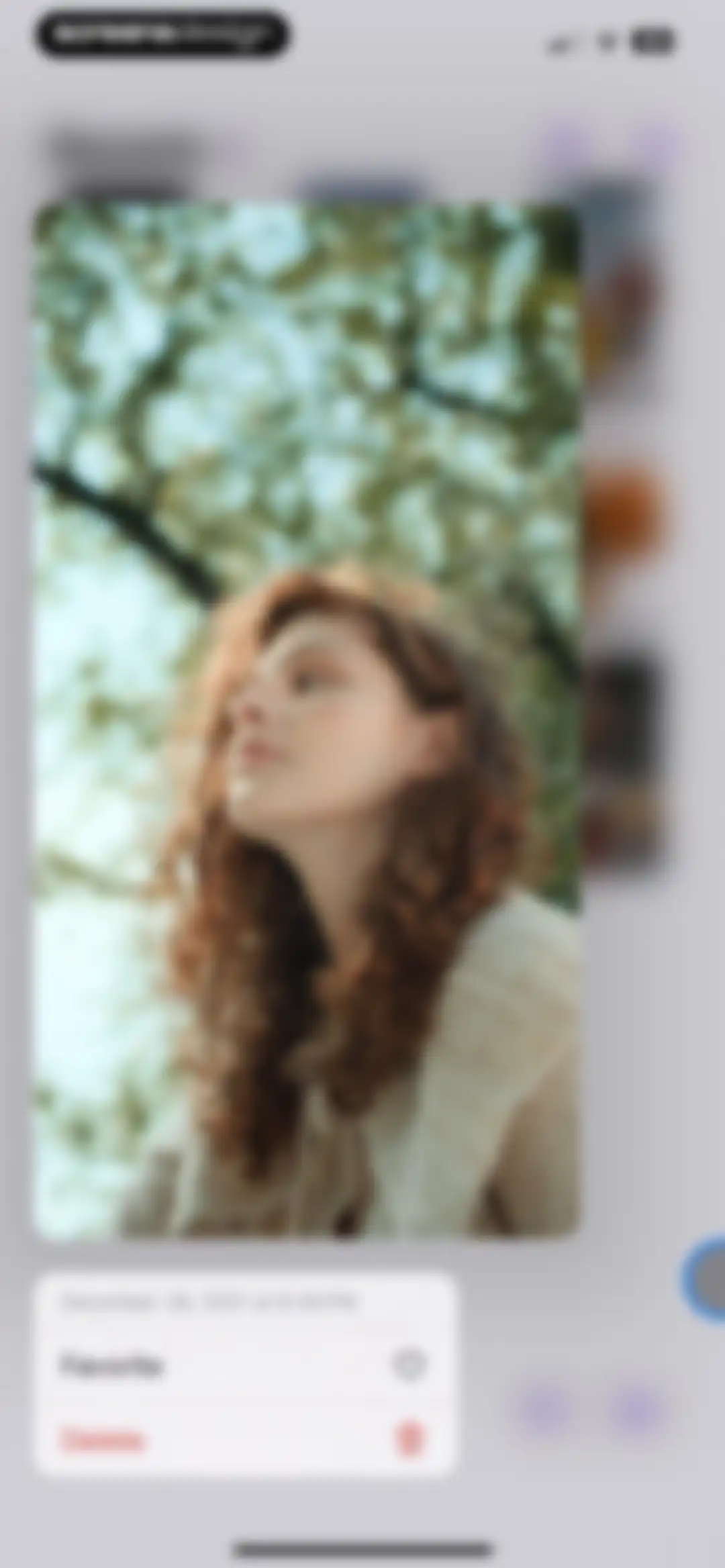 Frame Grabber screen 26