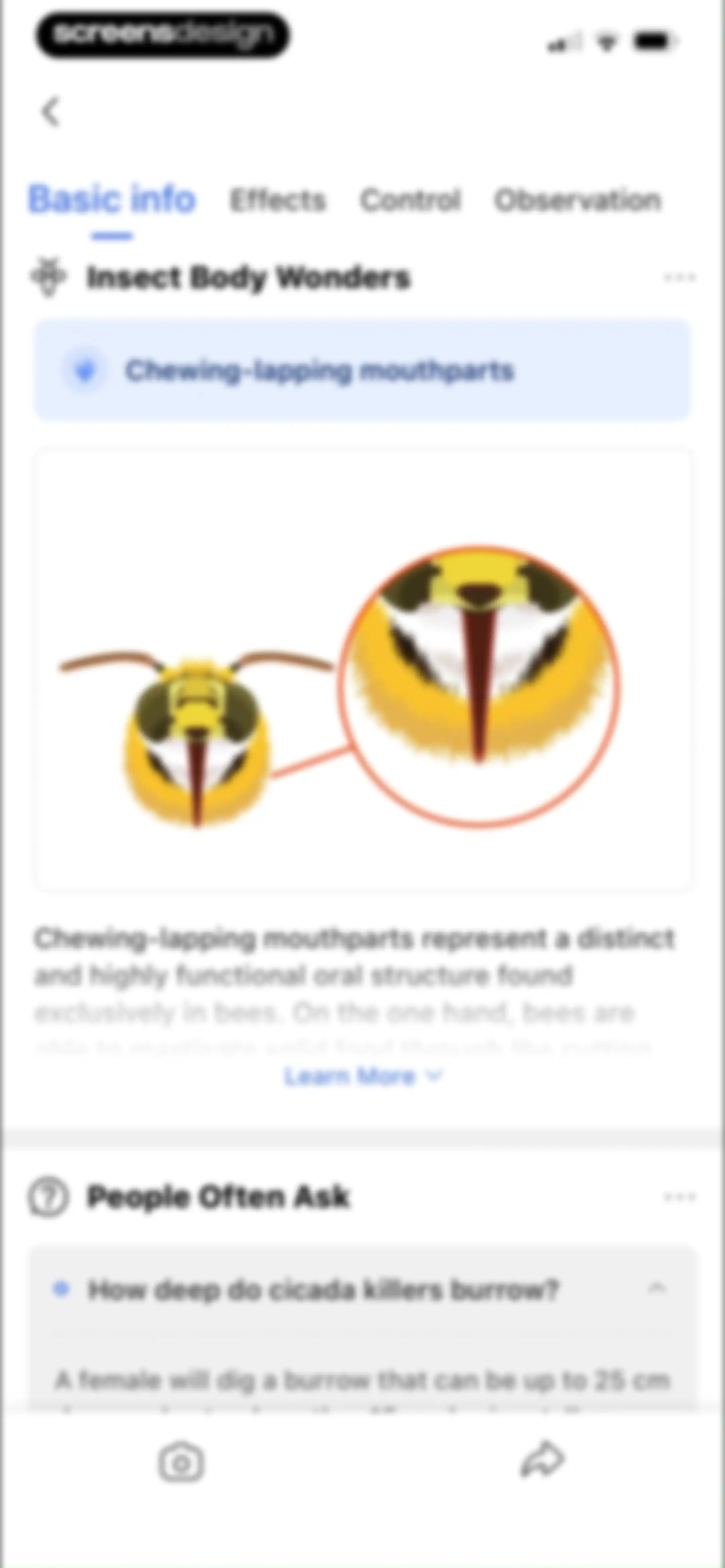 Picture Insect: Bug Identifier screen 39