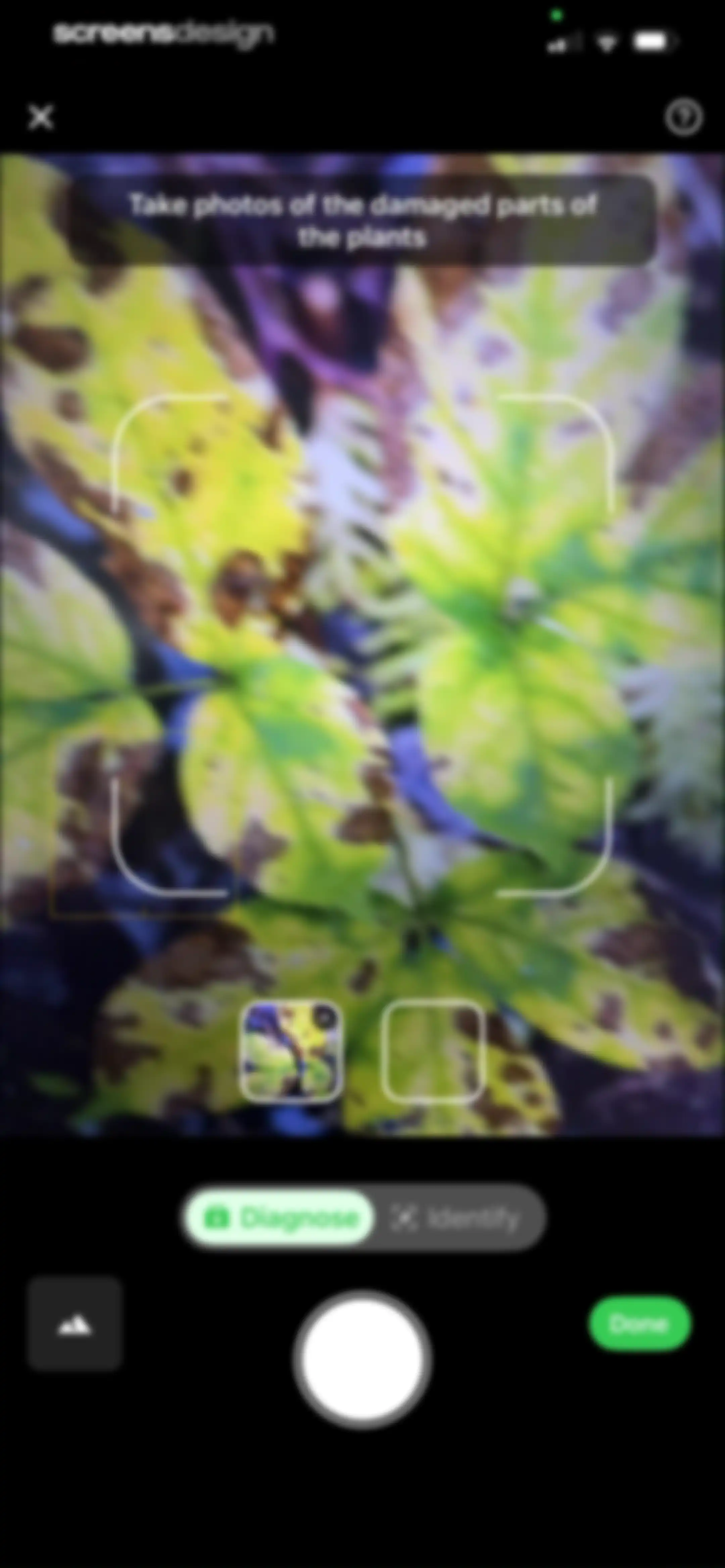 Plant Identifier & Plant Care. screen 49