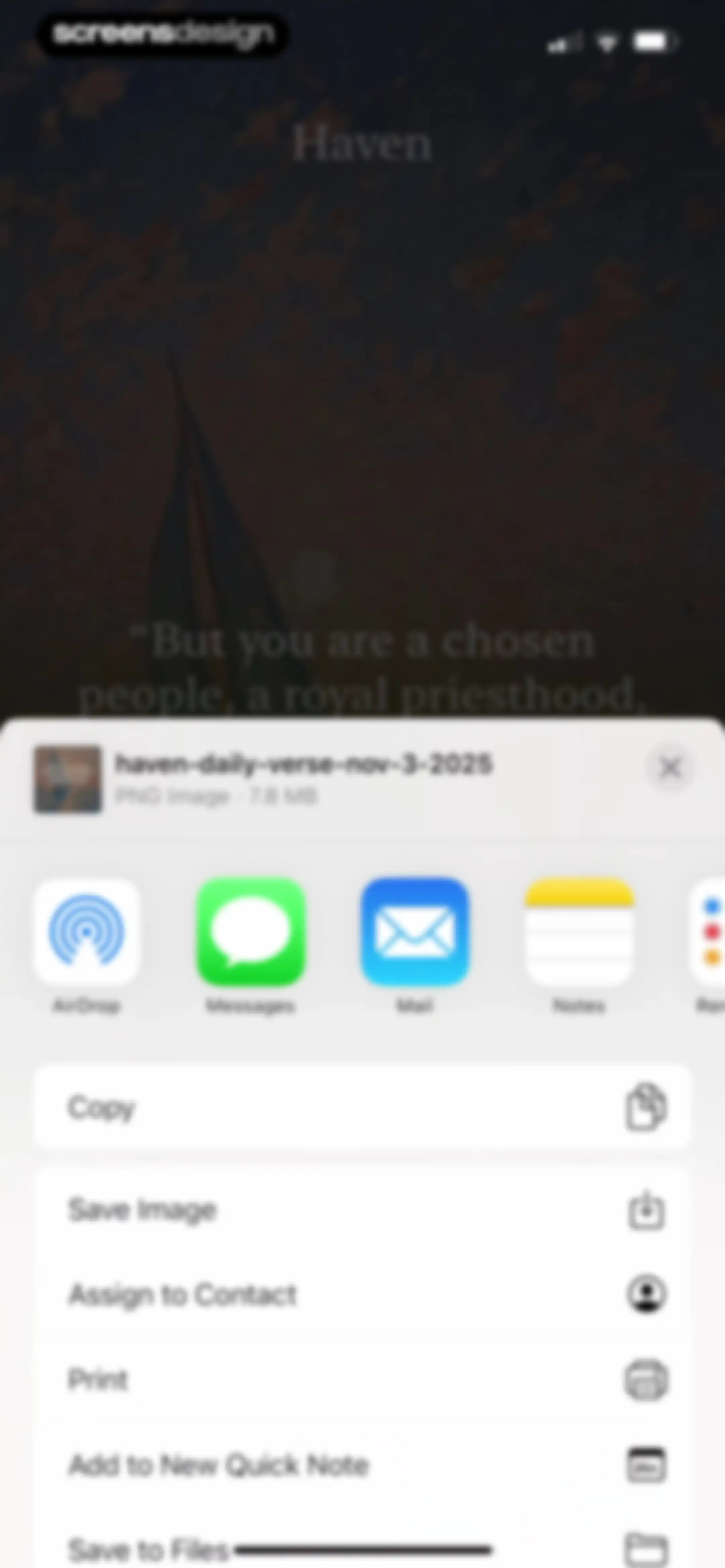Haven - Bible Chat screen 44