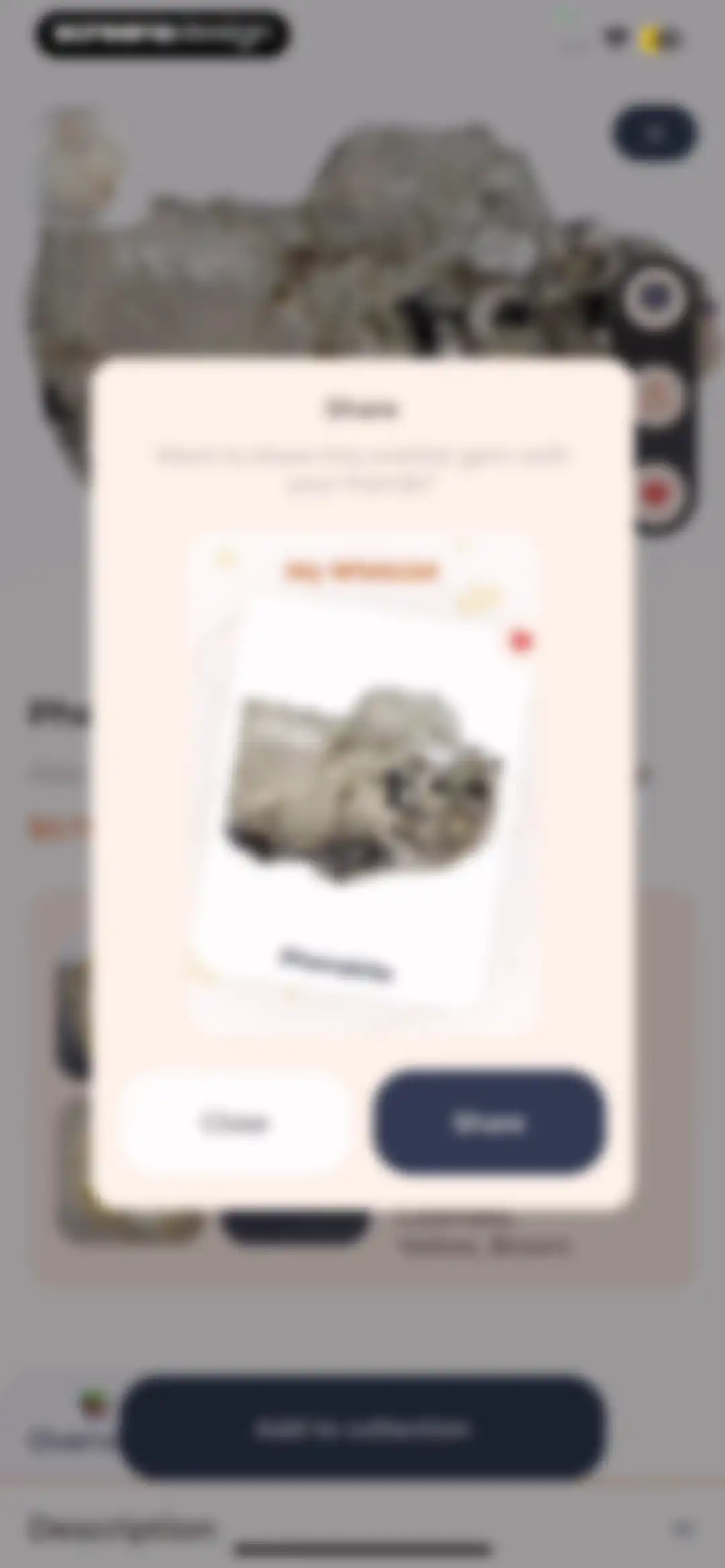 Stone Identifier: Rock Scanner screen 31