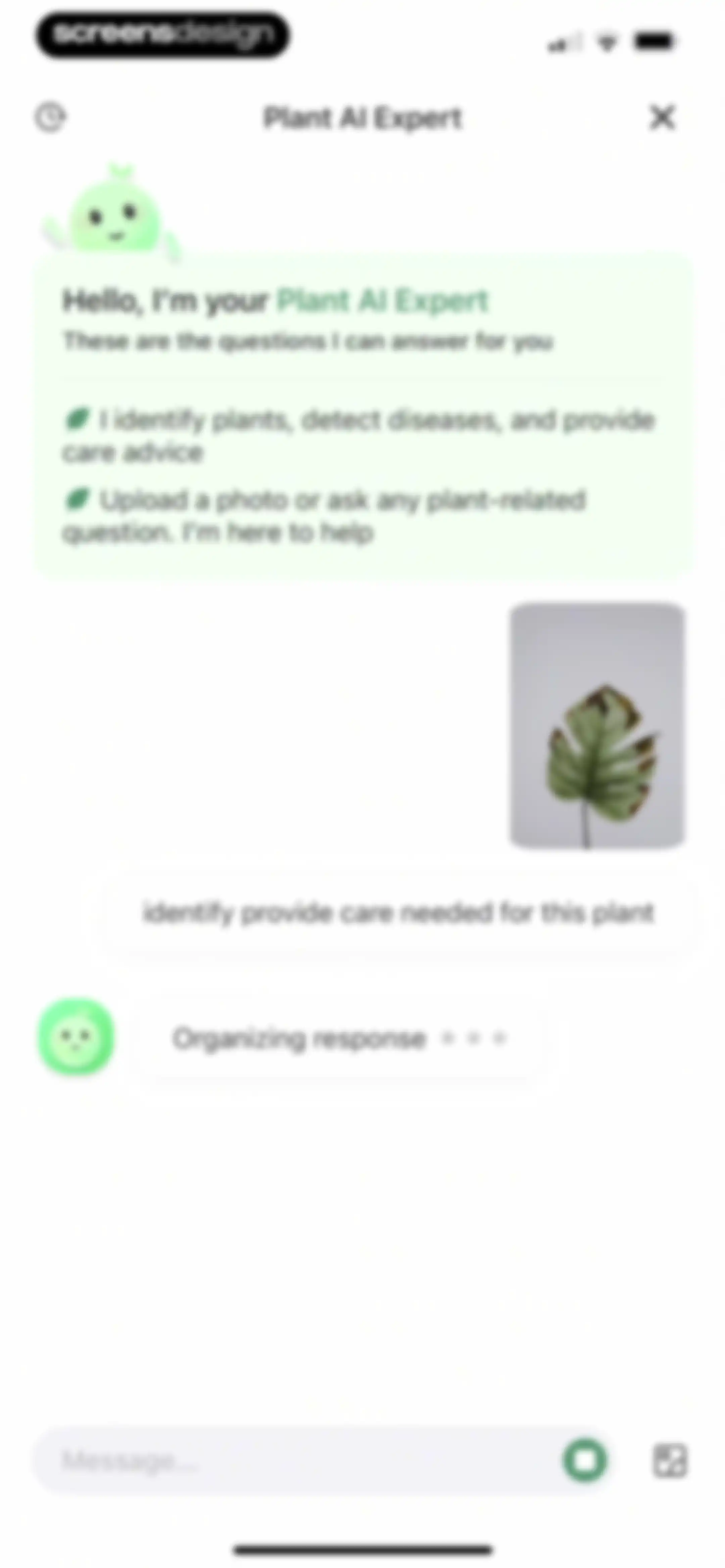 Verde Finder : identify plants screen 16