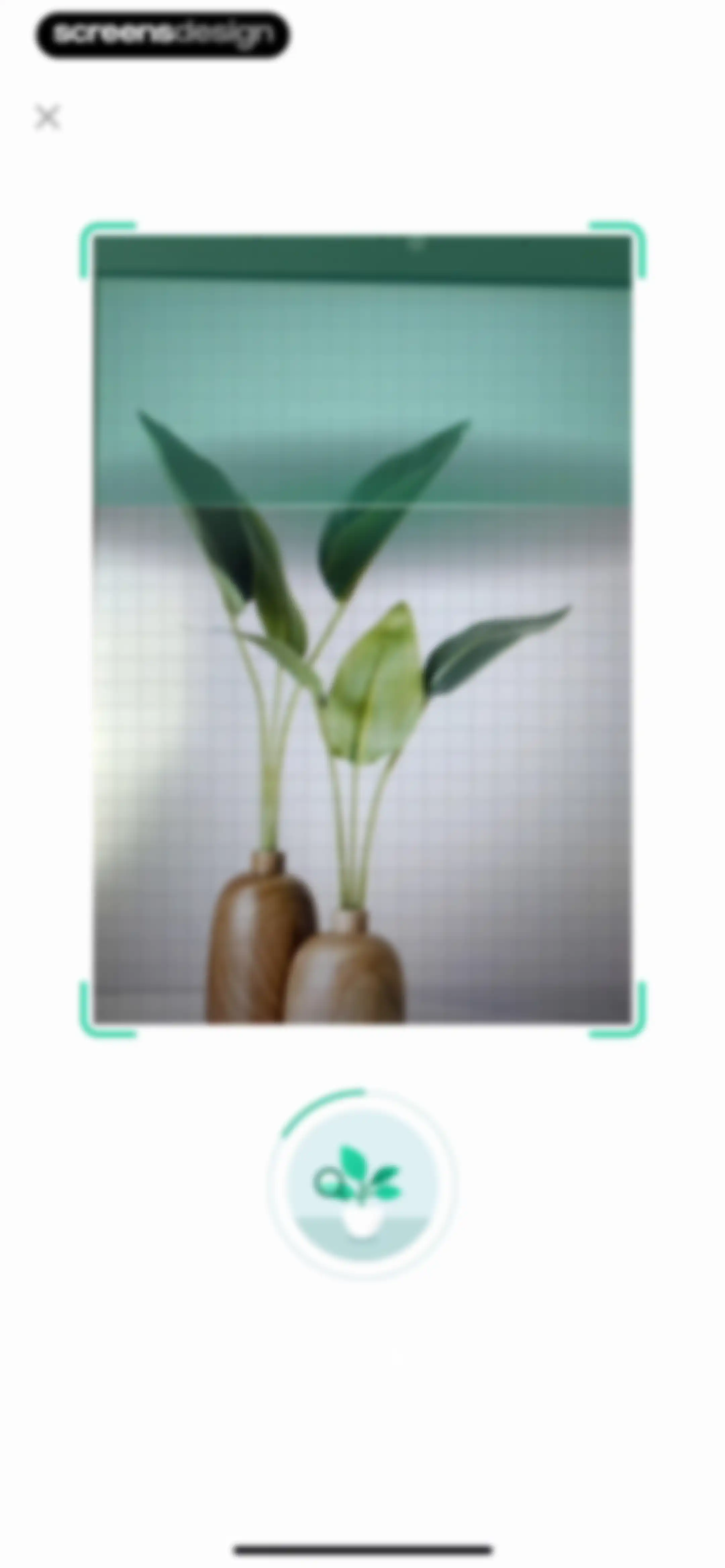 Plant Parent: Plant Care Guide screen 33