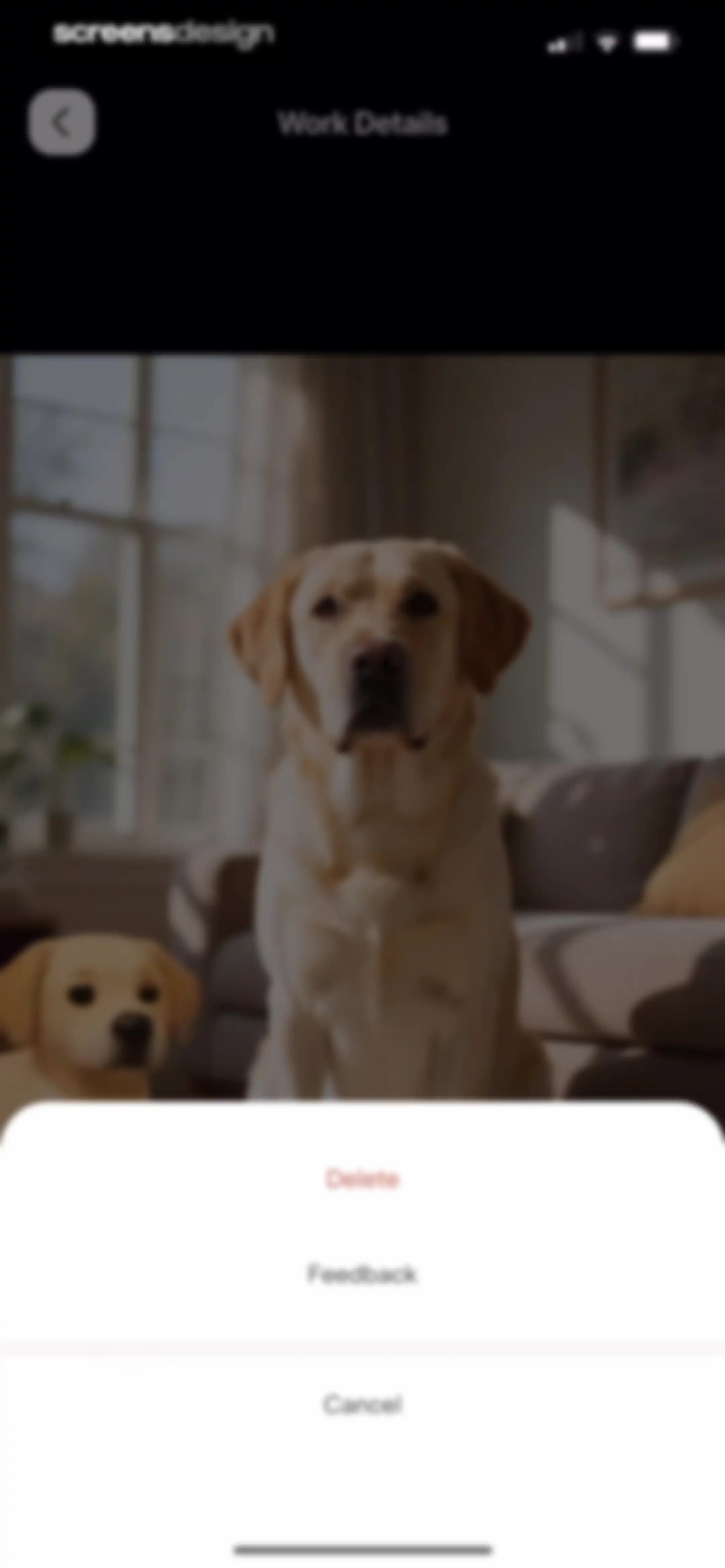 PetFun-Pet Talk & Camera screen 52