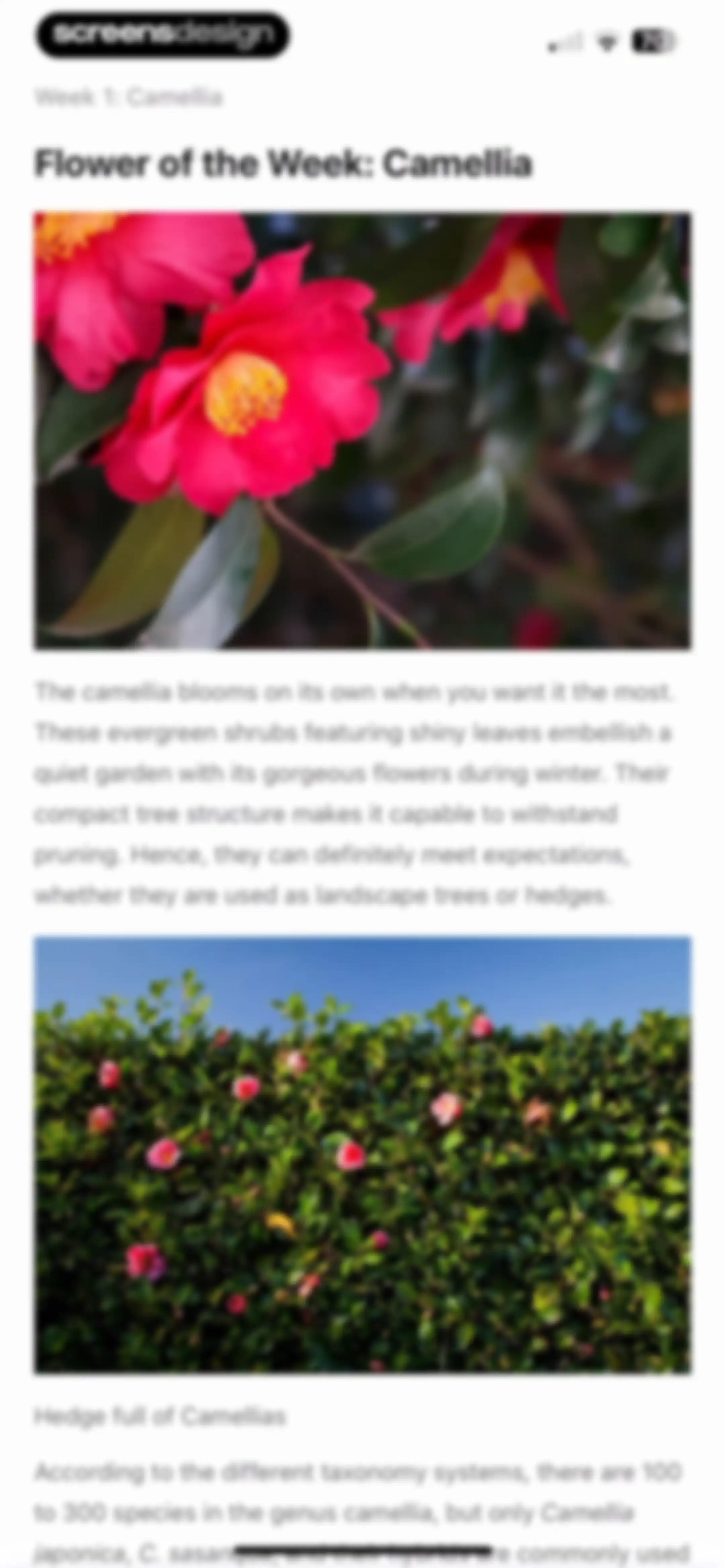 PictureThis - Plant Identifier screen 198