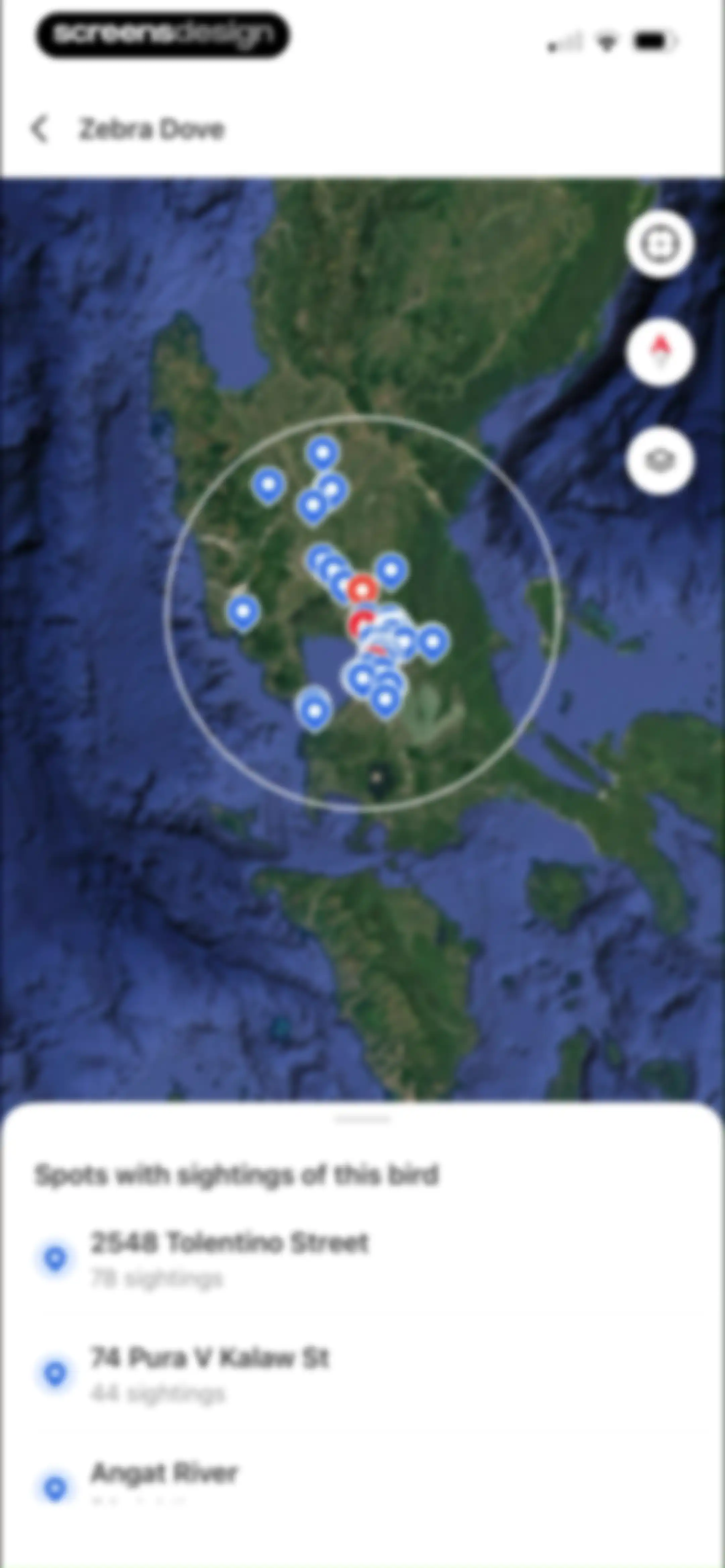 Picture Bird: Bird identifier screen 81