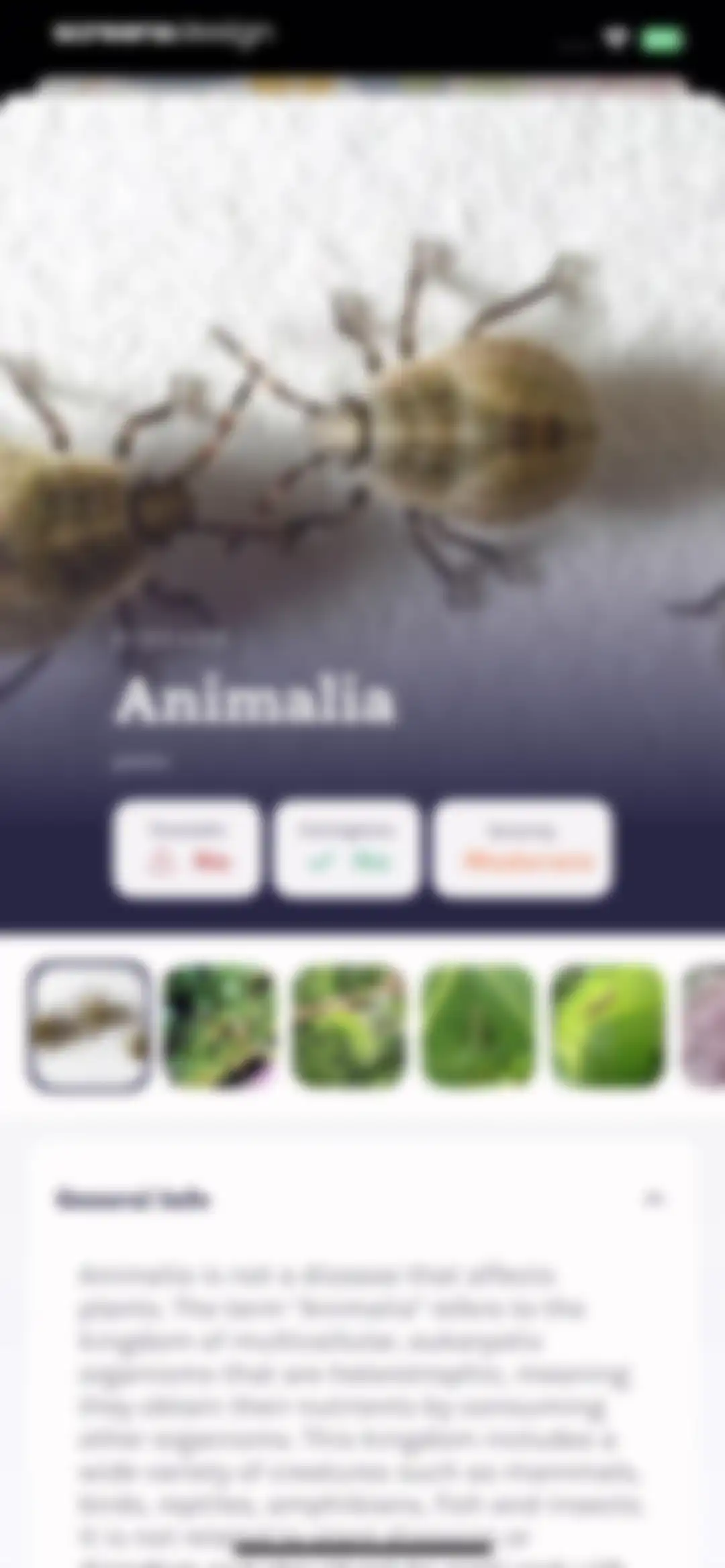 Plant Identifier, Care: Planty screen 93