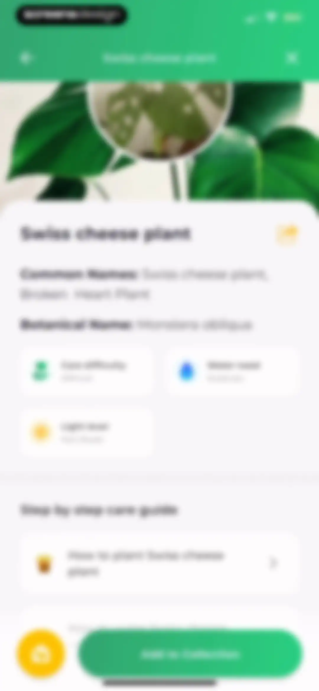 Plant Identifier: LeafSnap screen 14
