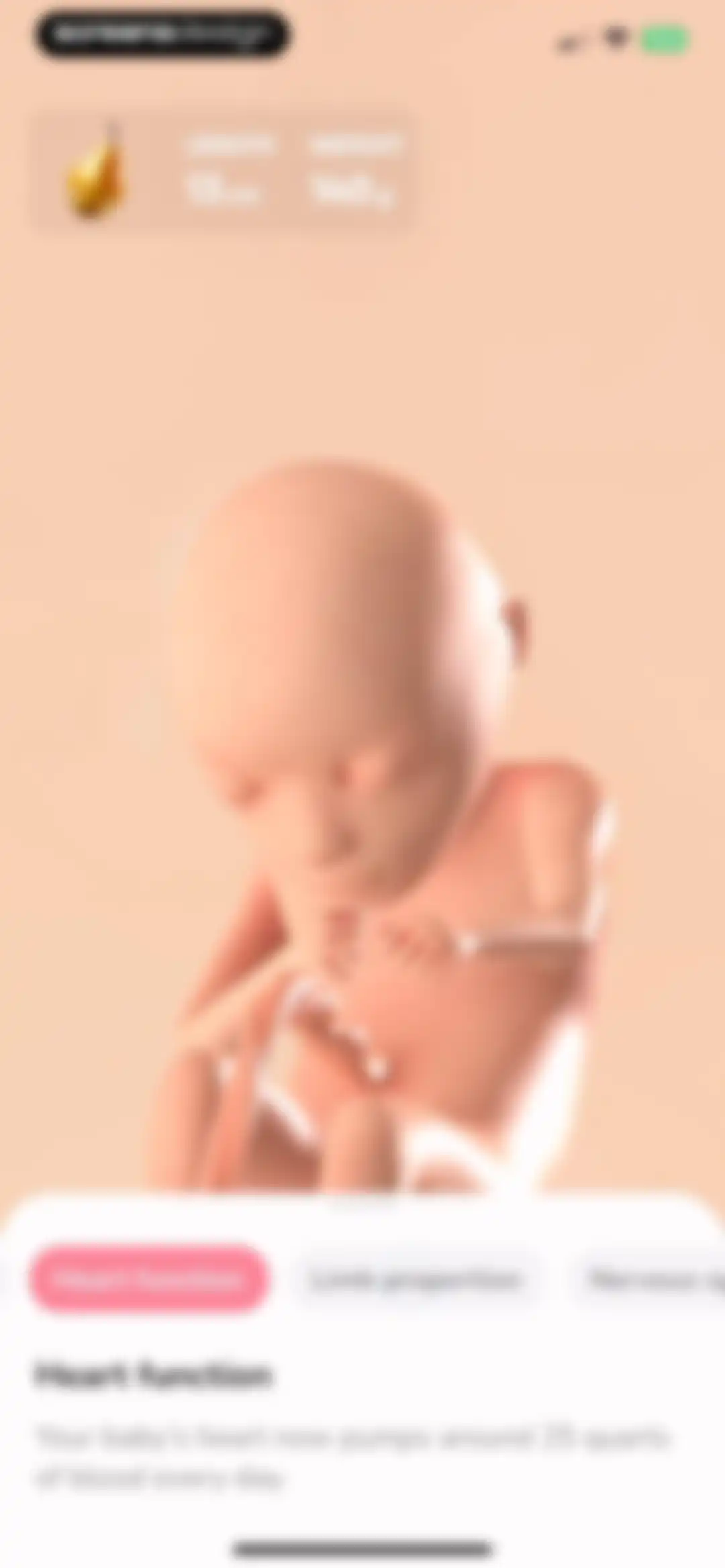 WeMoms - Pregnancy & Baby App screen 12