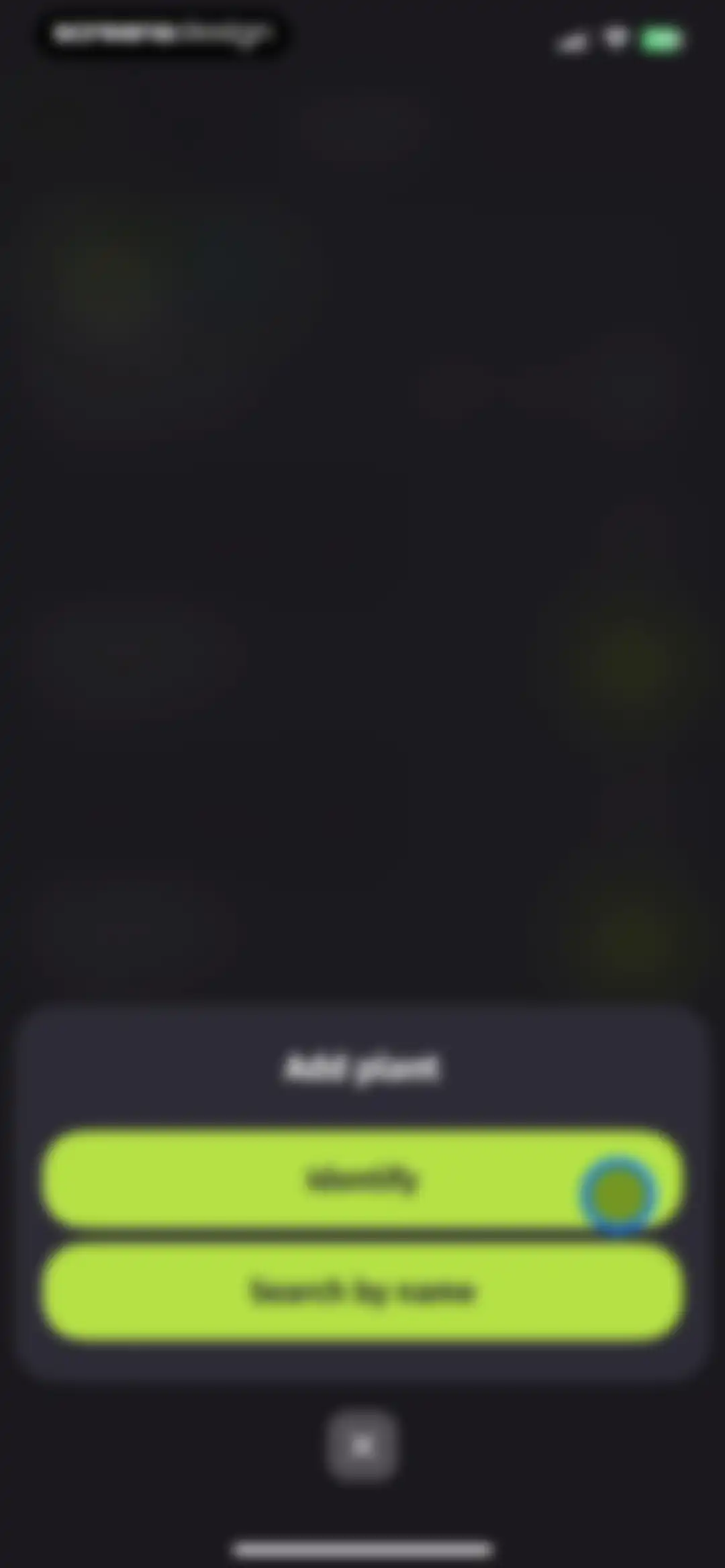 Plantion - Plant Identifier screen 33