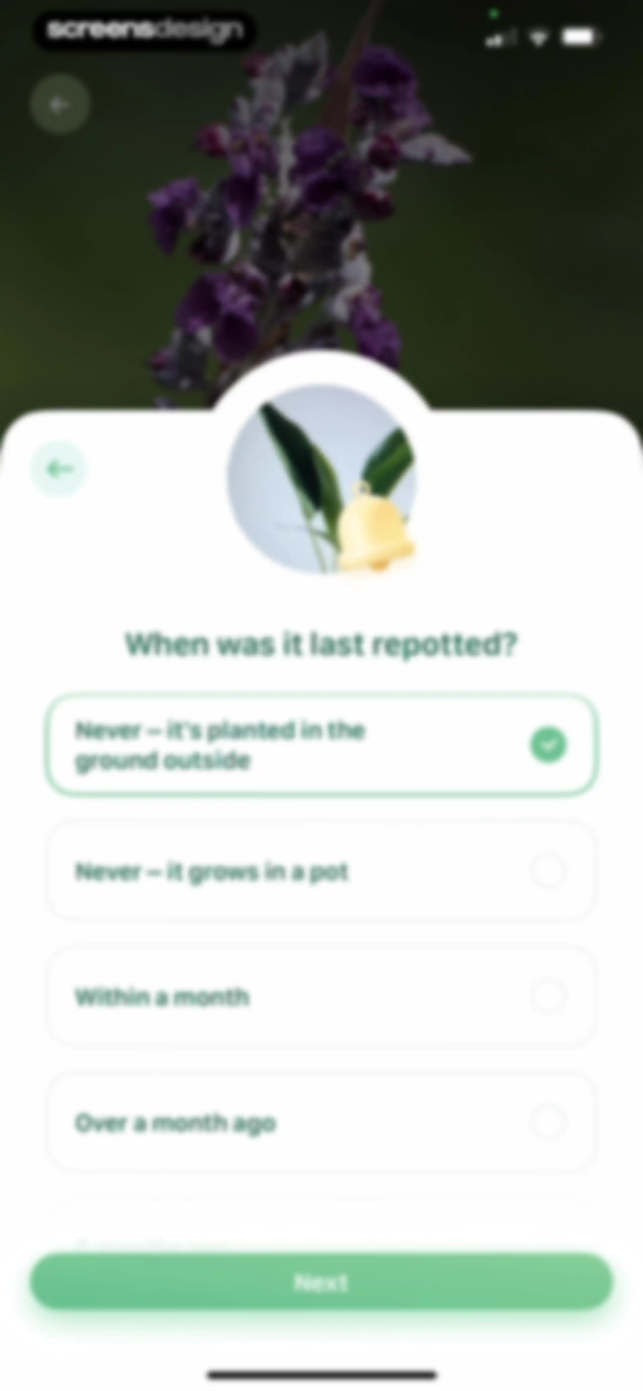 Blossom - Plant Care Guide screen 106