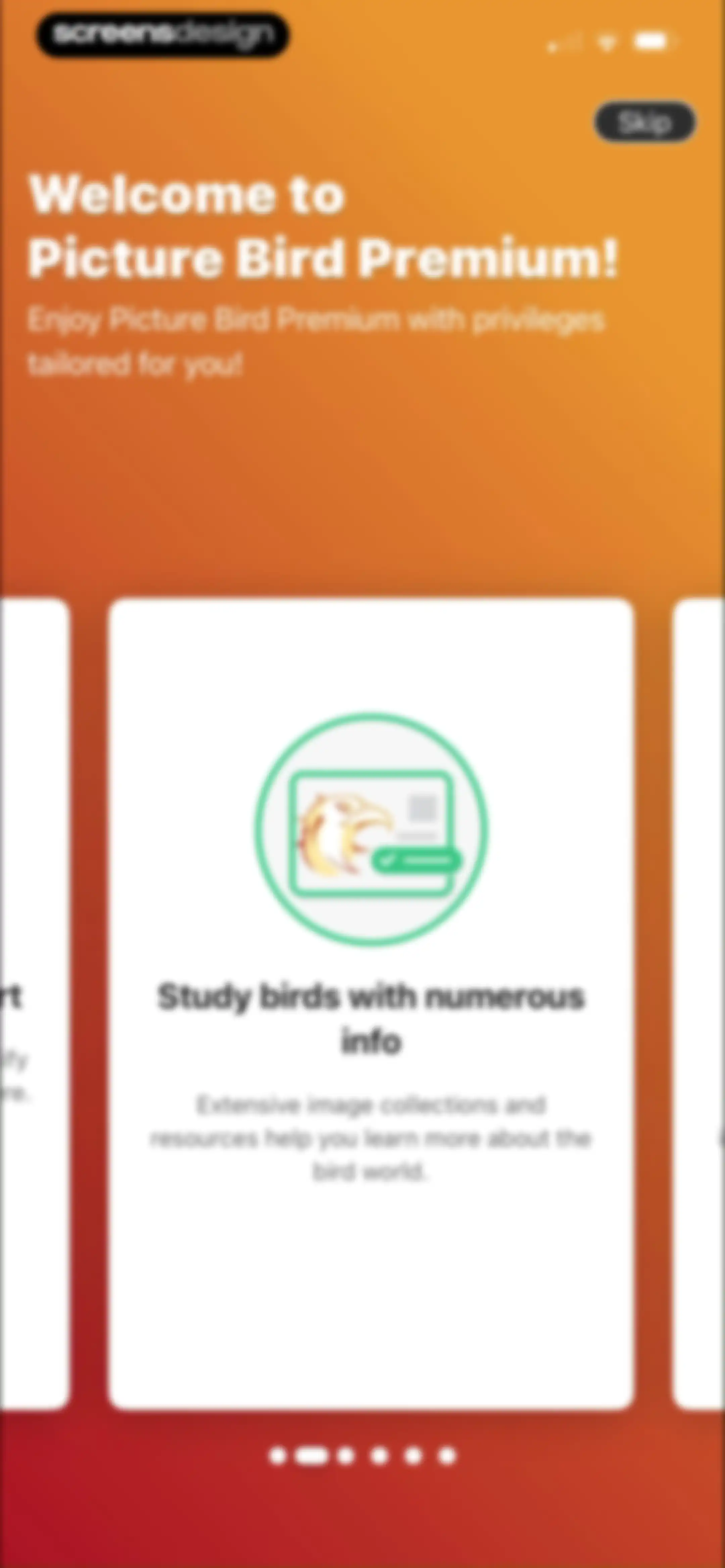 Picture Bird: Bird identifier screen 21
