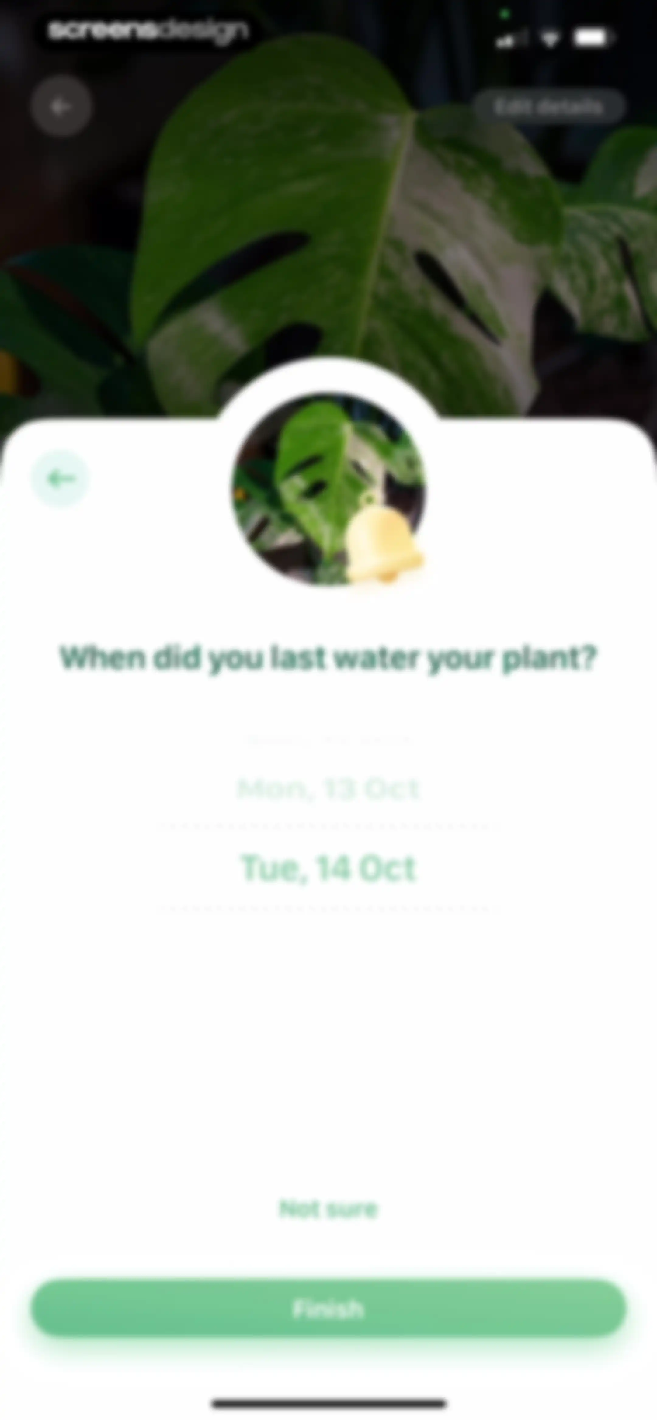 Blossom - Plant Care Guide screen 128