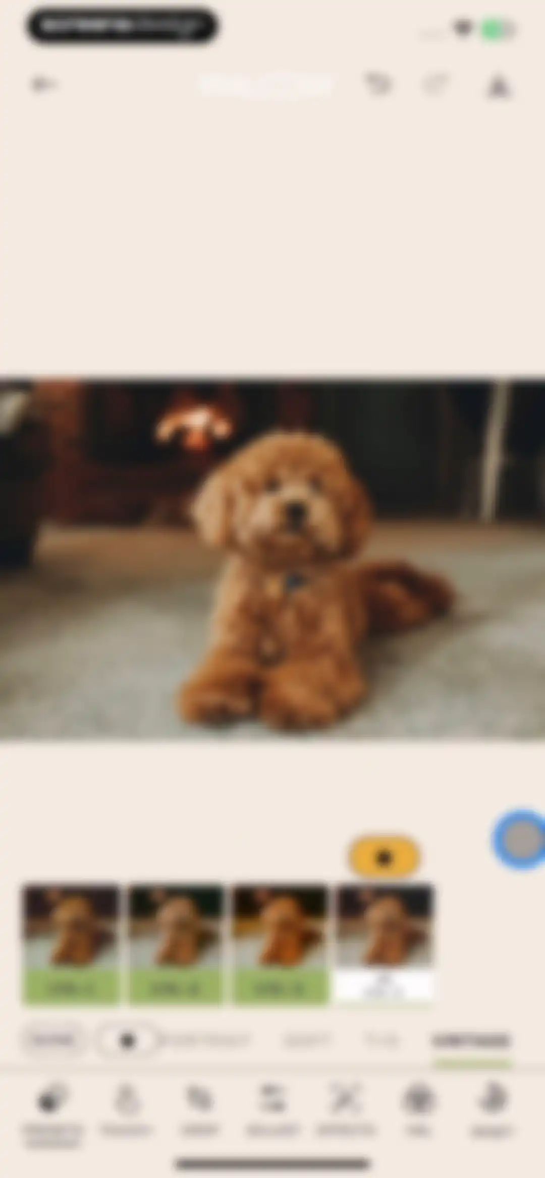Phlow: Pro Camera Photo Editor screen 48