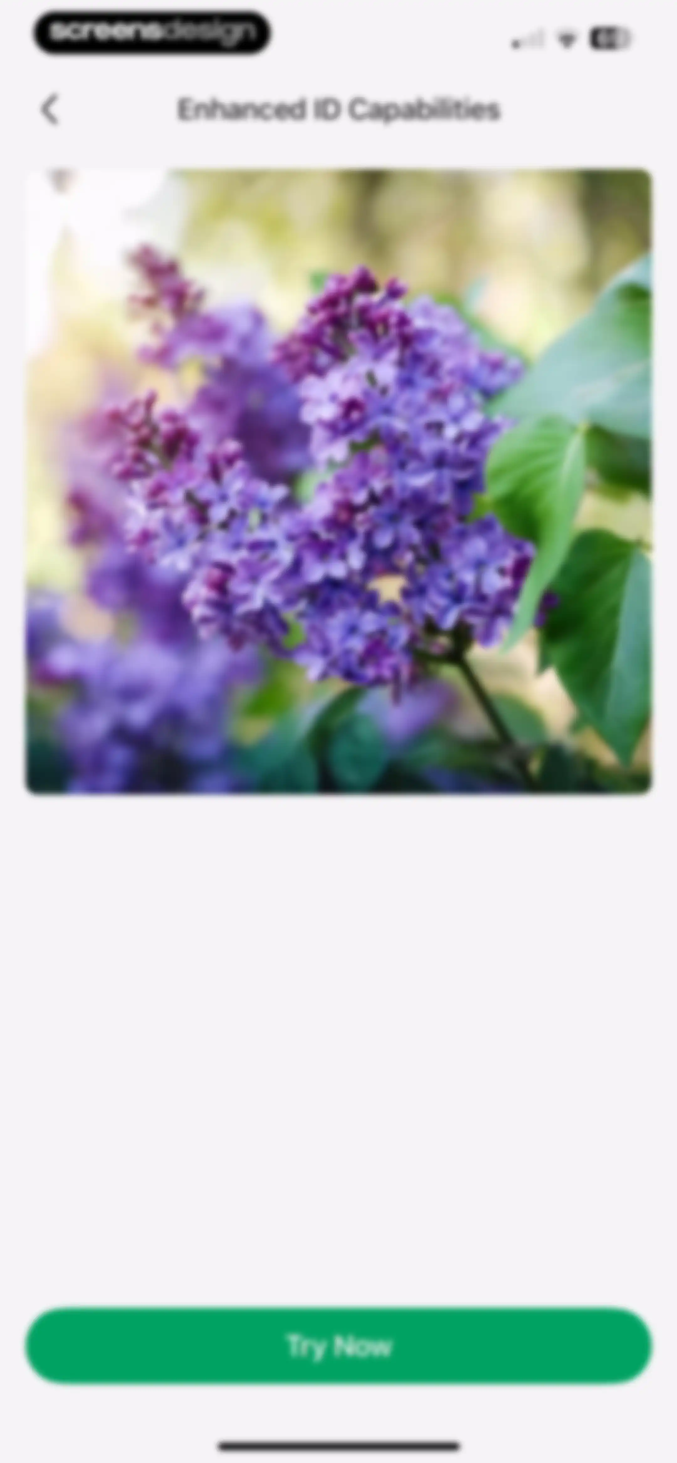 PictureThis - Plant Identifier screen 213