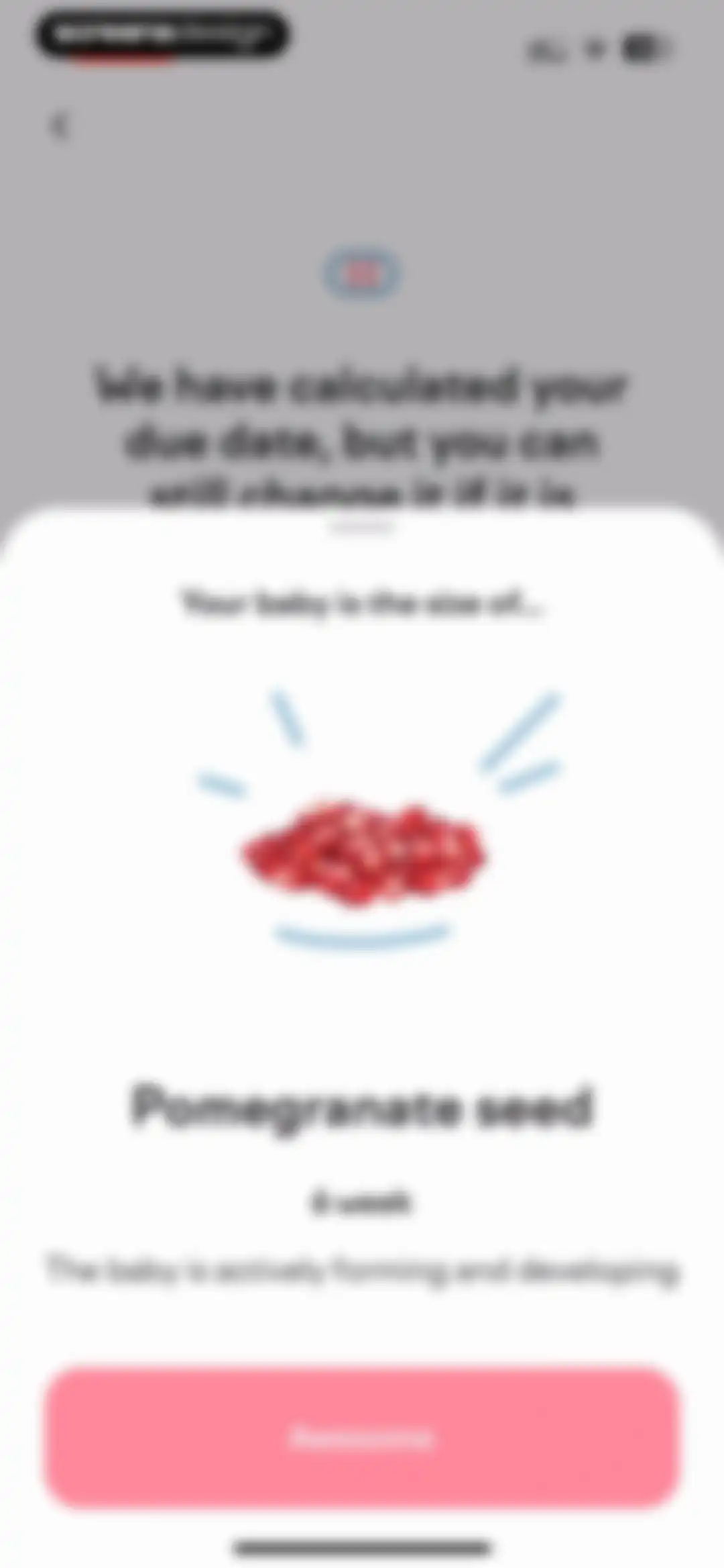 amma: Pregnancy & Baby Tracker screen 18