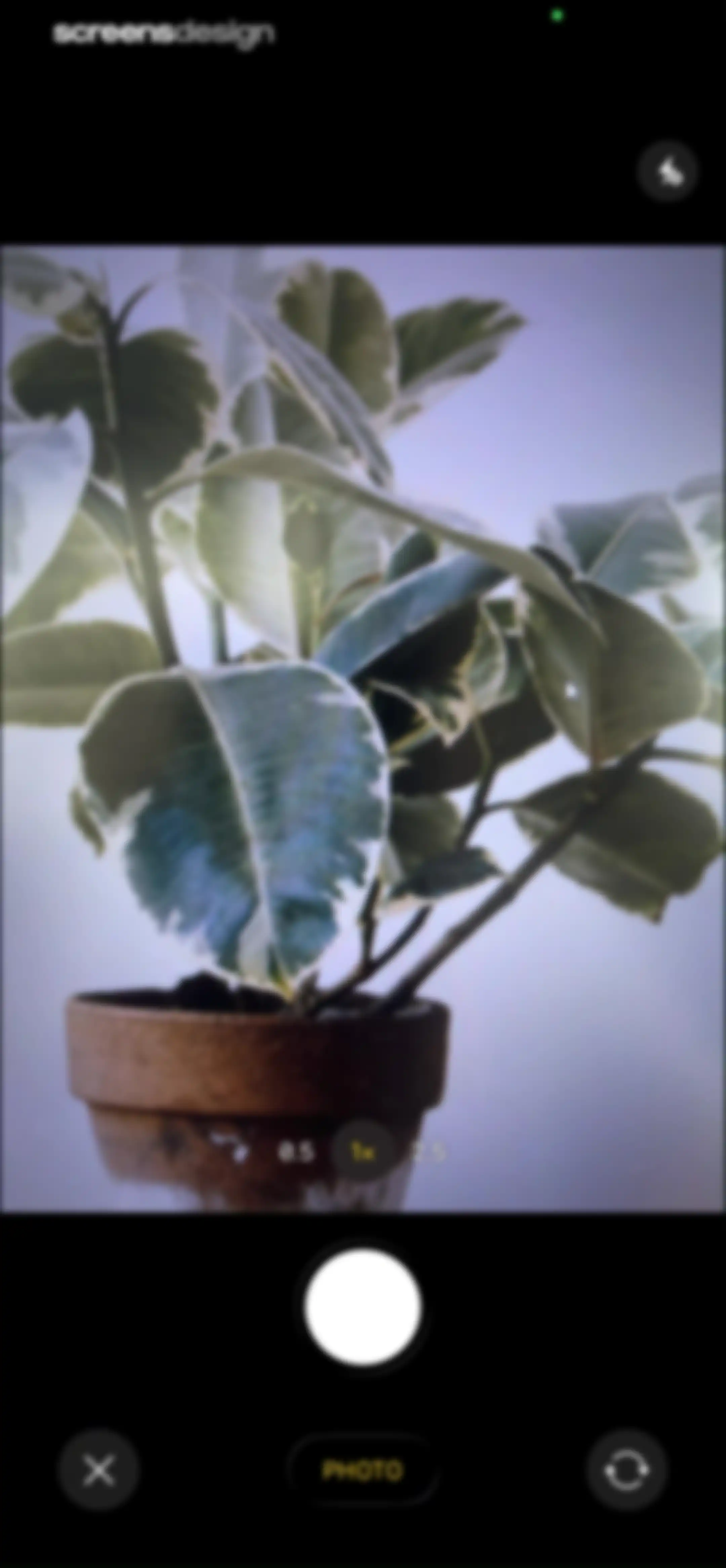 Free Plant Identifier screen 10