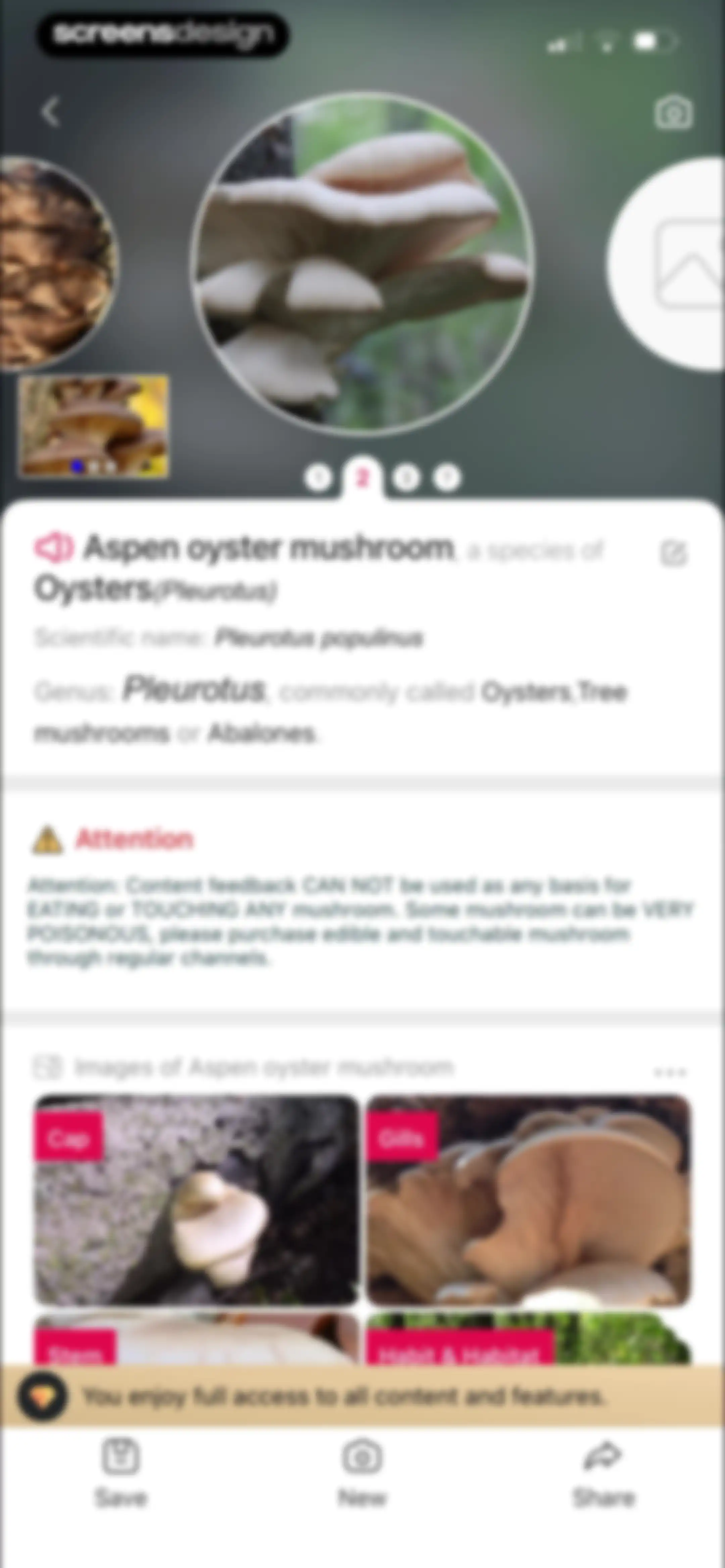 Picture Mushroom: Identifier screen 79
