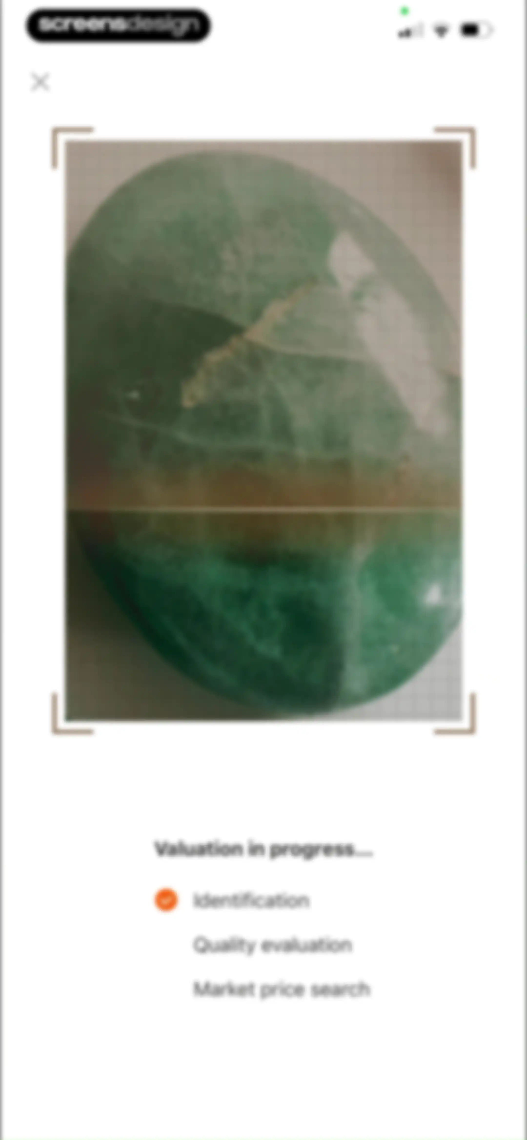 Rock Identifier: Stone ID screen 72