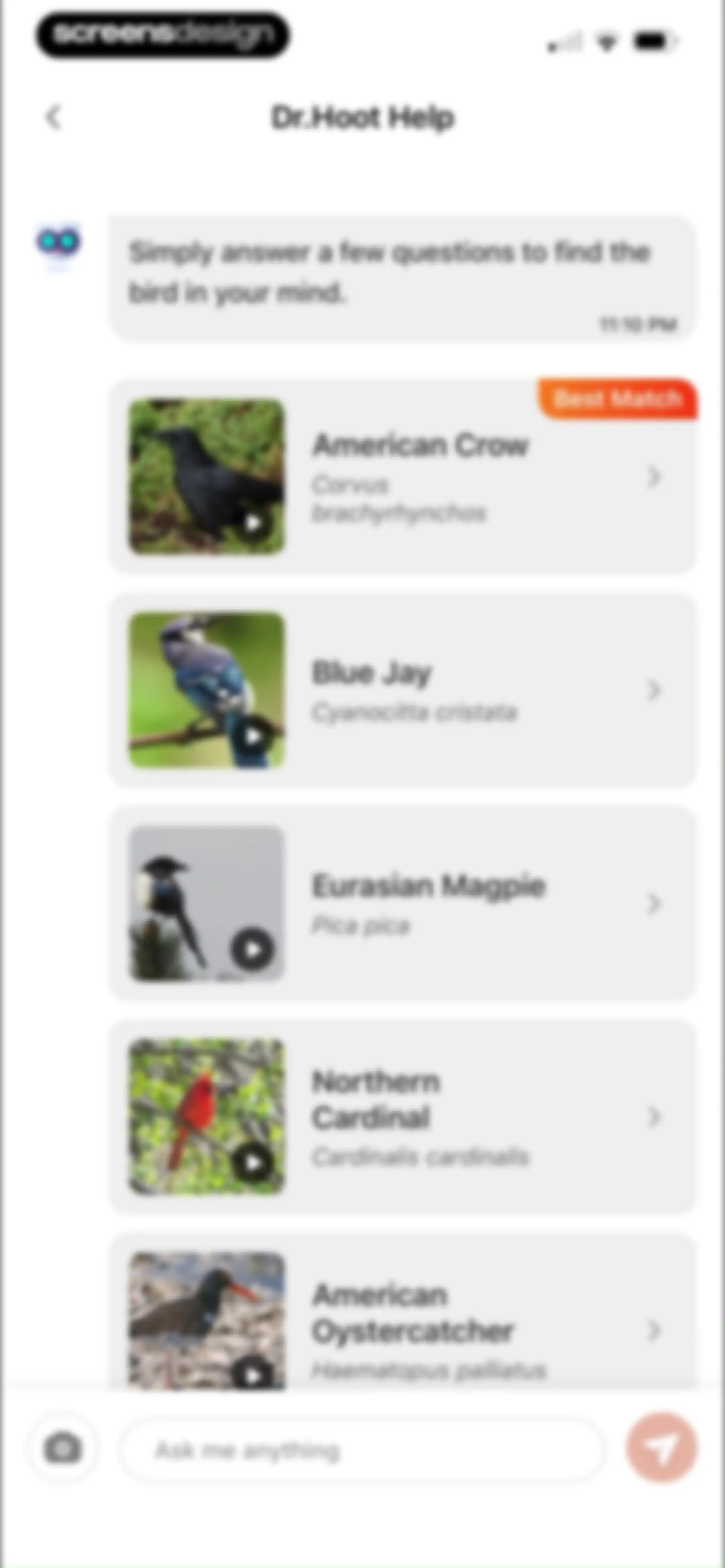 Picture Bird: Bird identifier screen 71