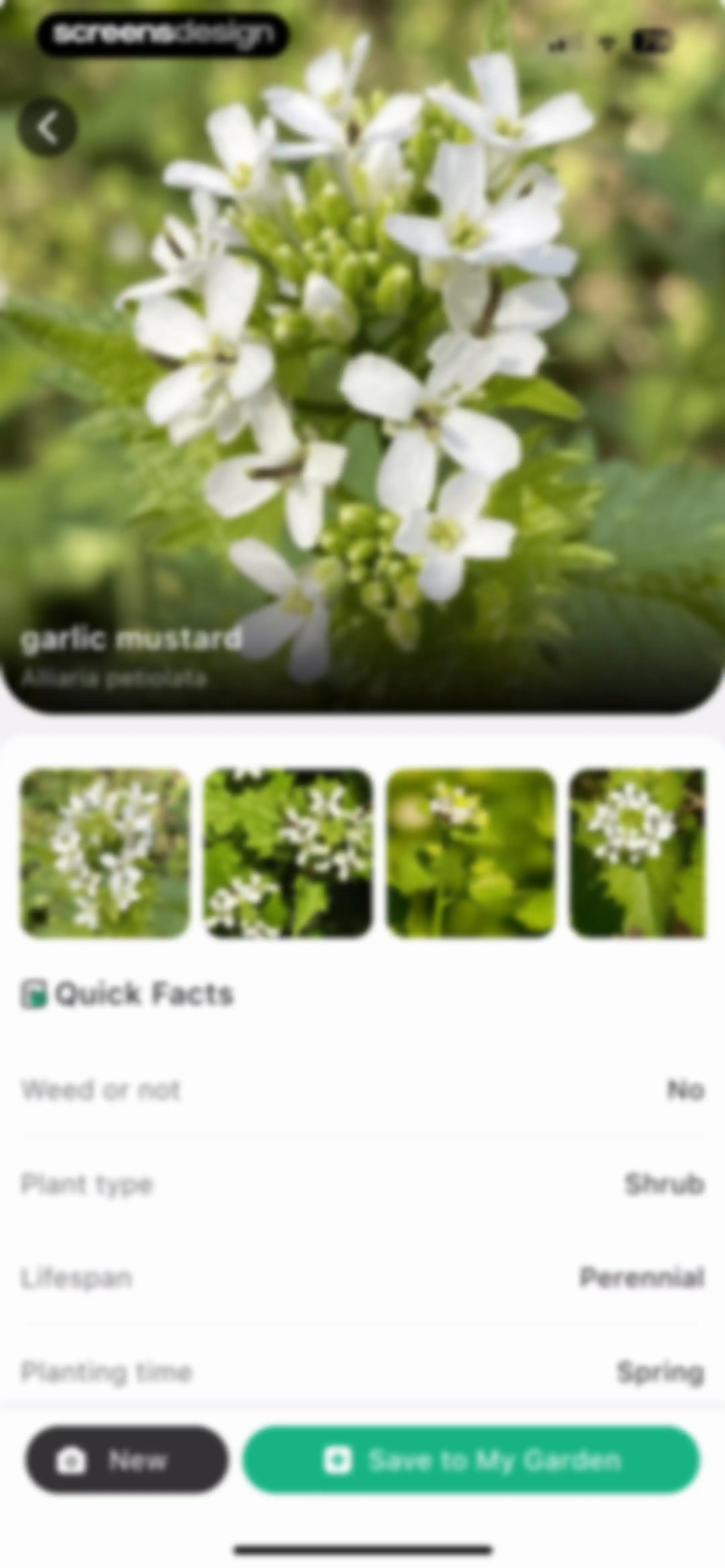 Plant Identifier: ChatPlant AI screen 32