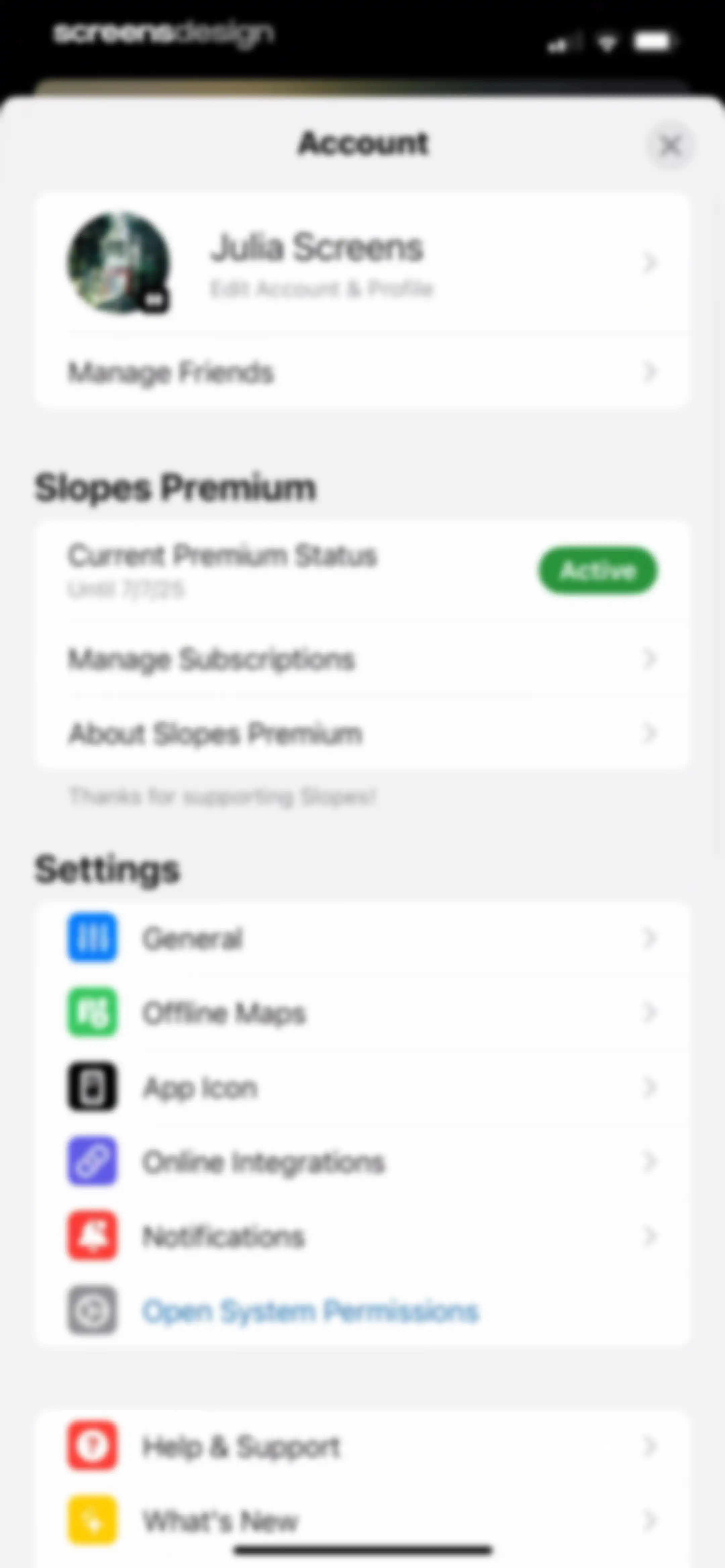 Slopes: Ski & Snowboard screen 116