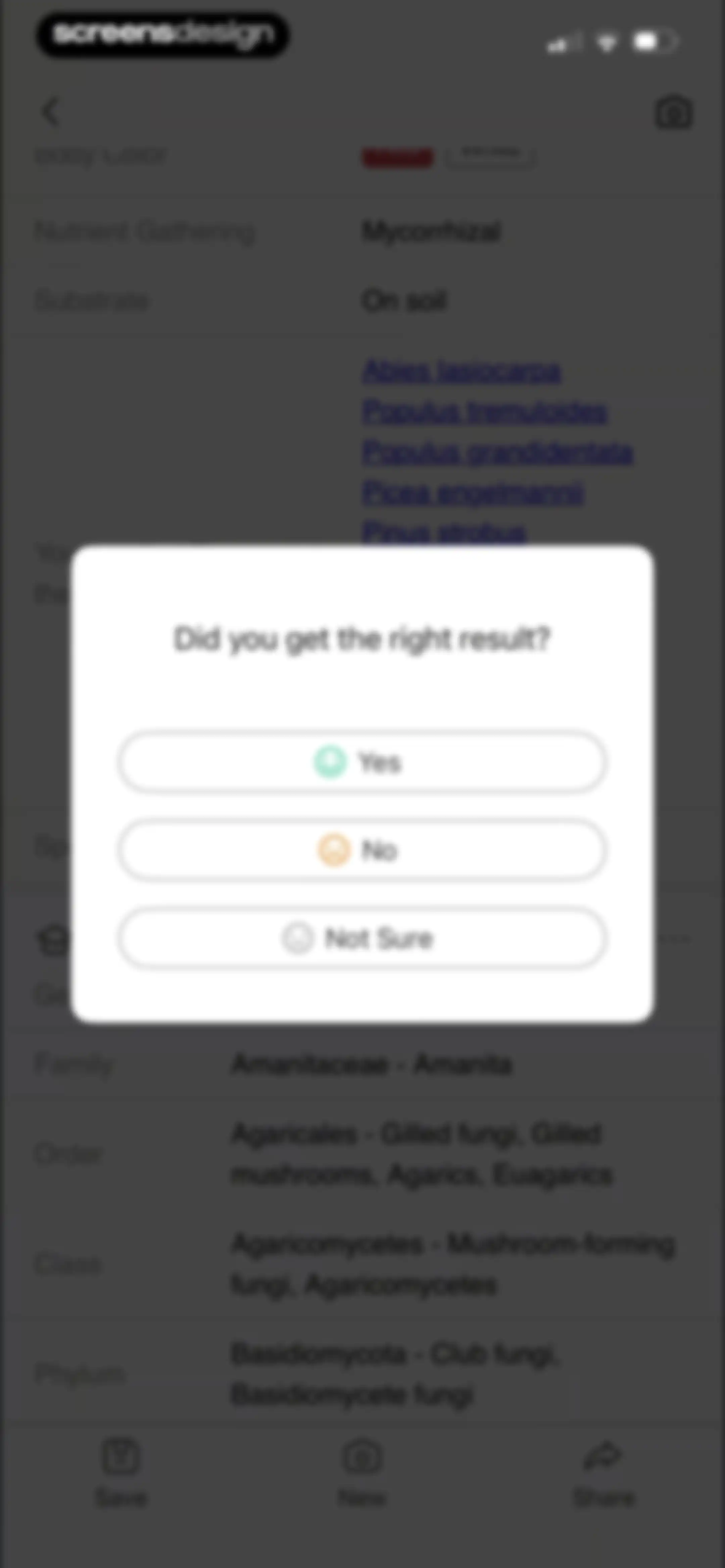 Picture Mushroom: Identifier screen 48