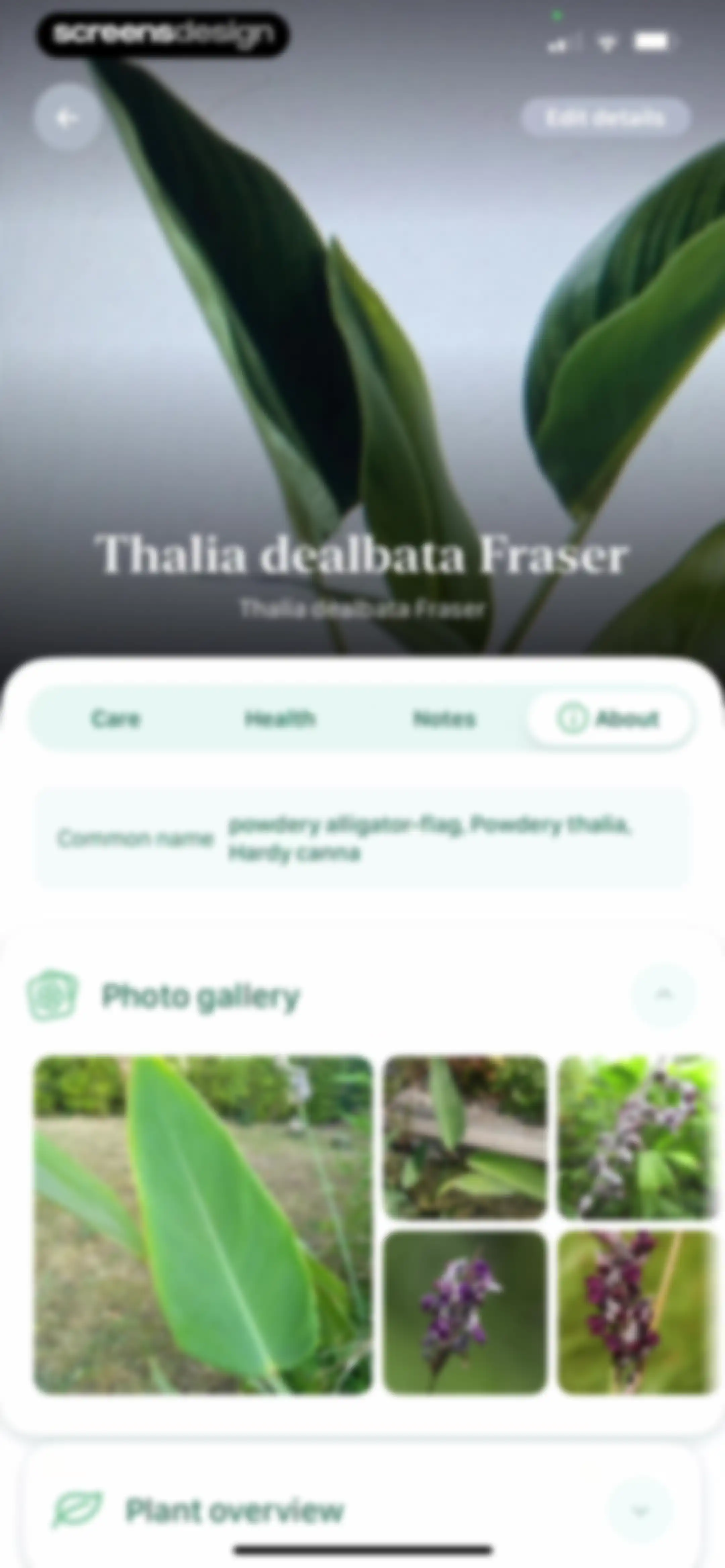 Blossom - Plant Care Guide screen 114