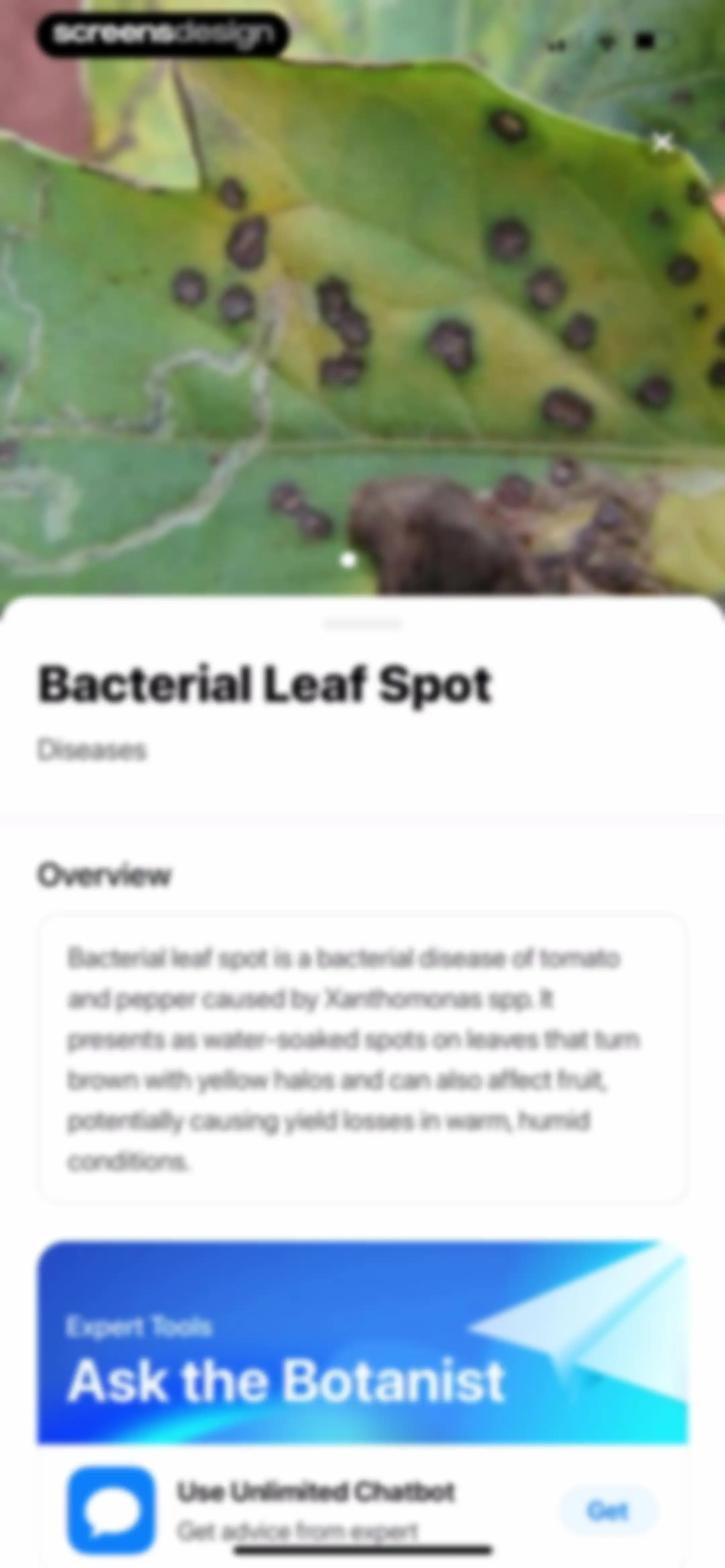 Plant App: Plant Identifier screen 53