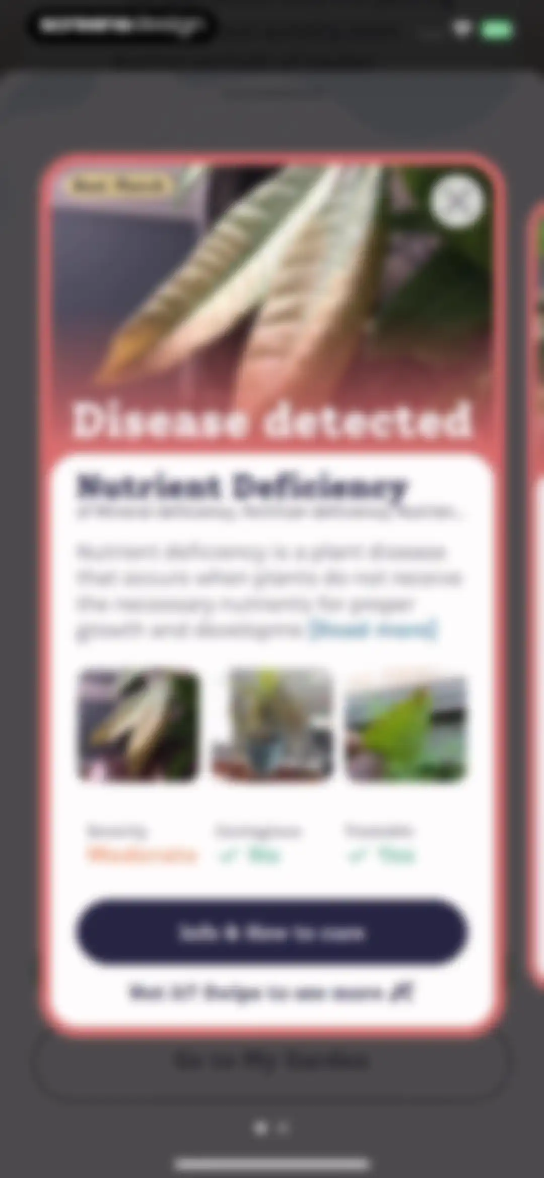 Plant Identifier, Care: Planty screen 66