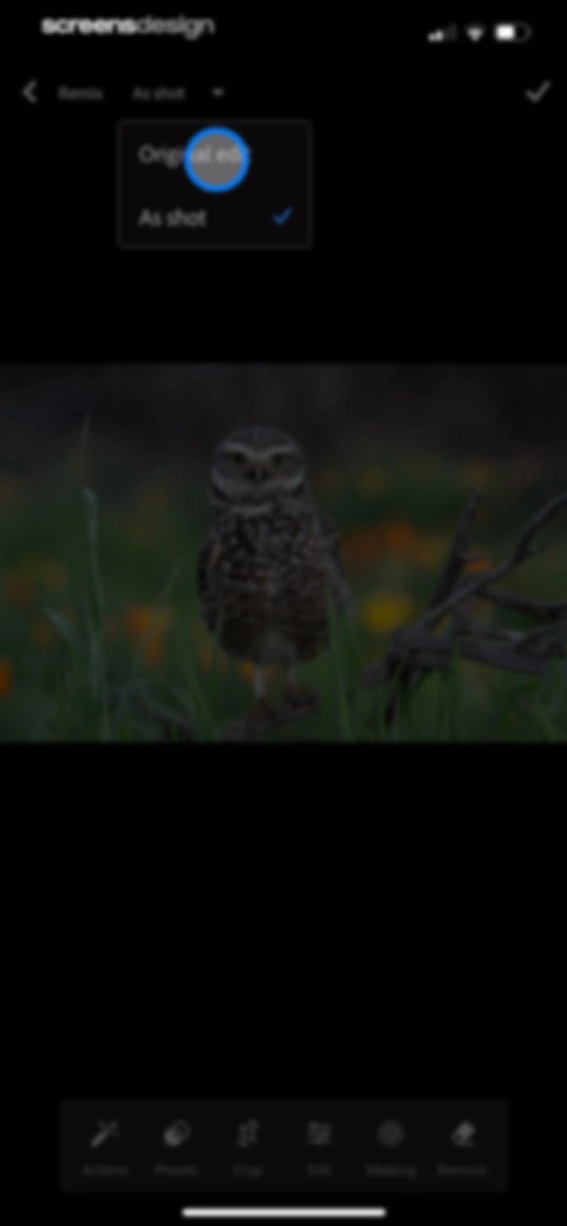 Lightroom: AI Photo Editor screen 164