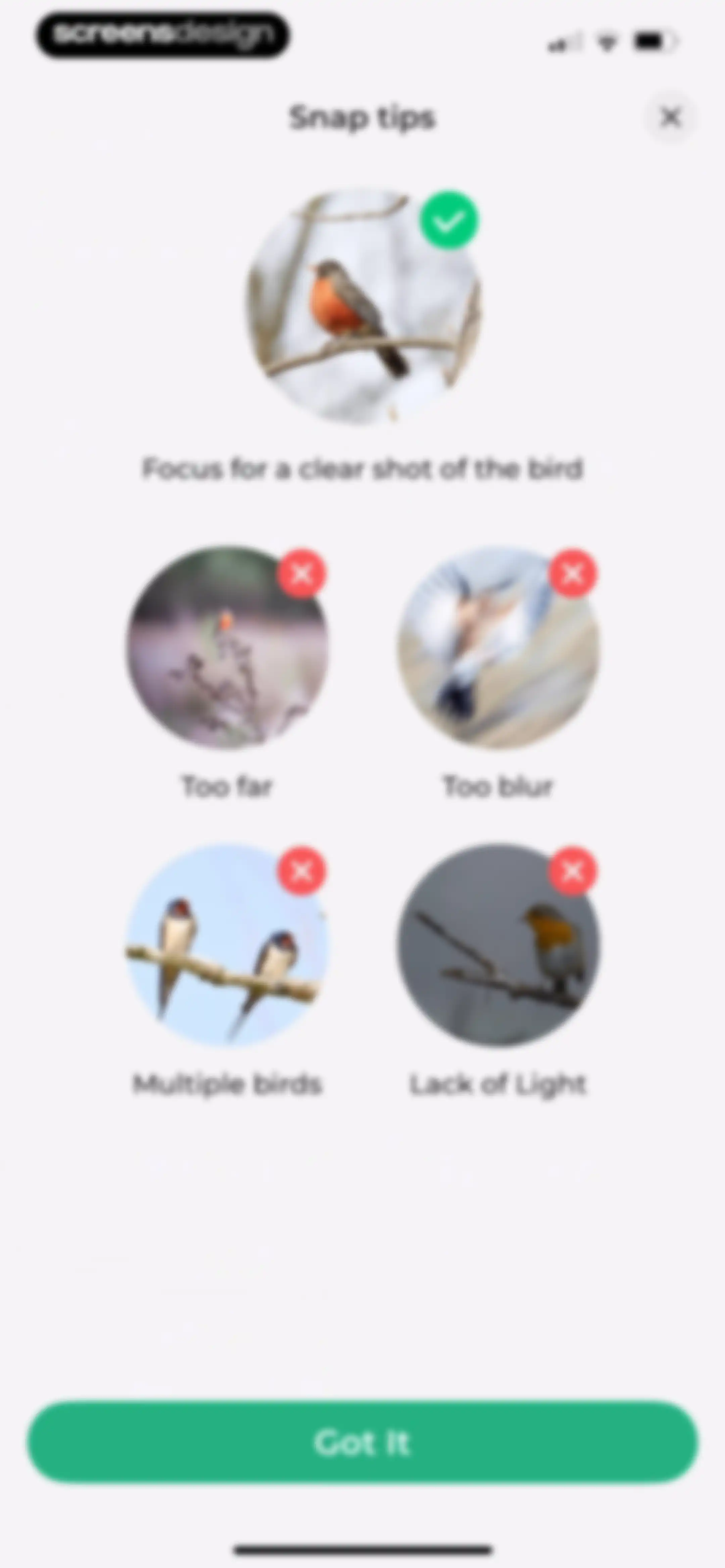 Bird Identifier: BirdScope screen 15