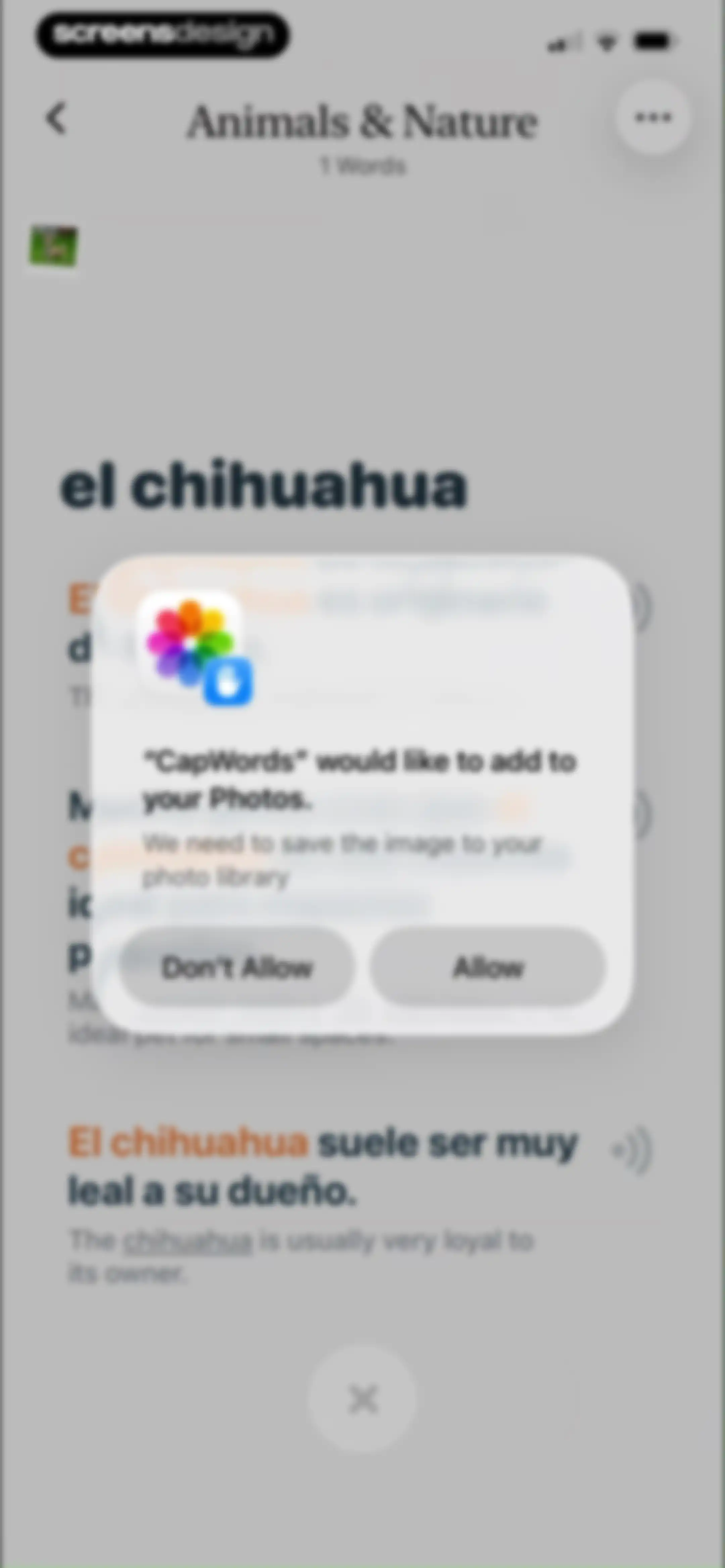 CapWords: AI Language Tutor screen 51