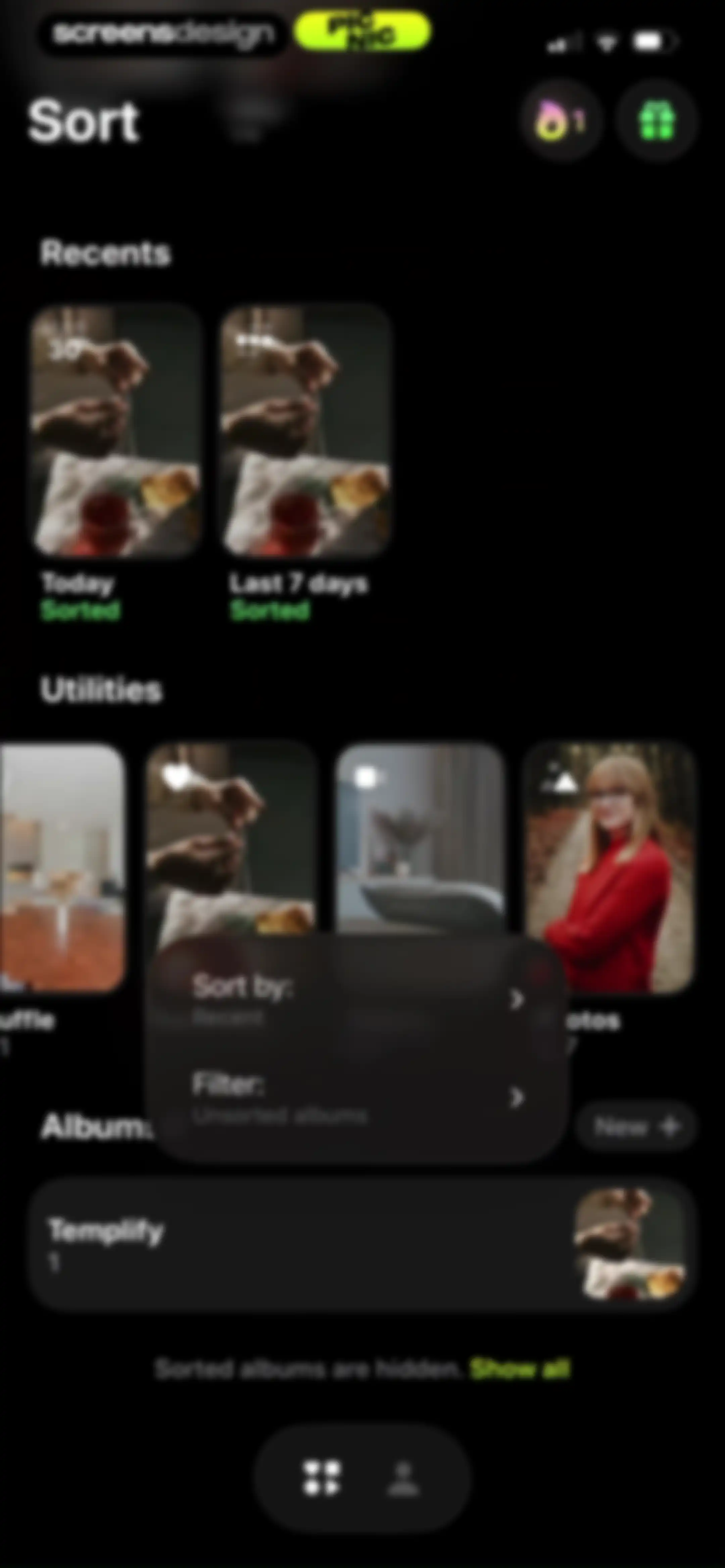 Photo Organizer: Picnic screen 45