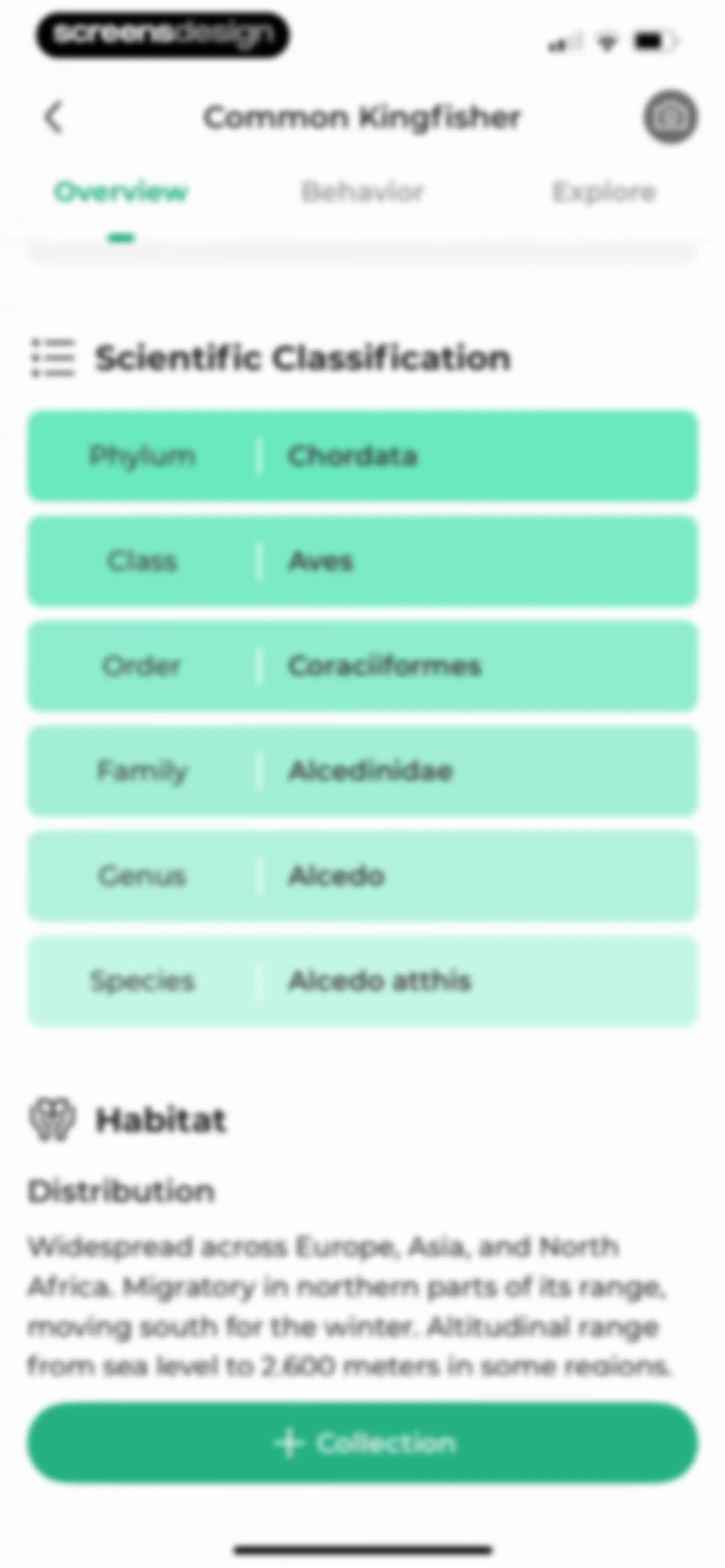 Bird Identifier: BirdScope screen 28