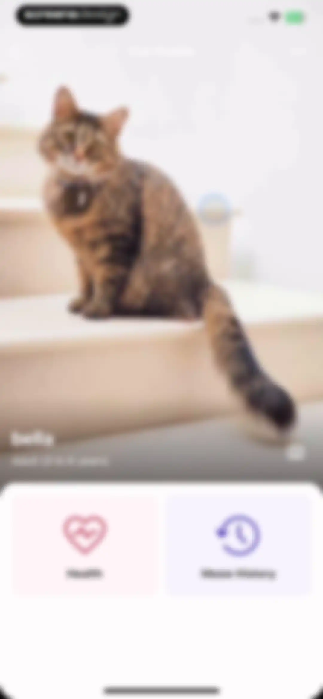 MeowTalk Cat Translator screen 28