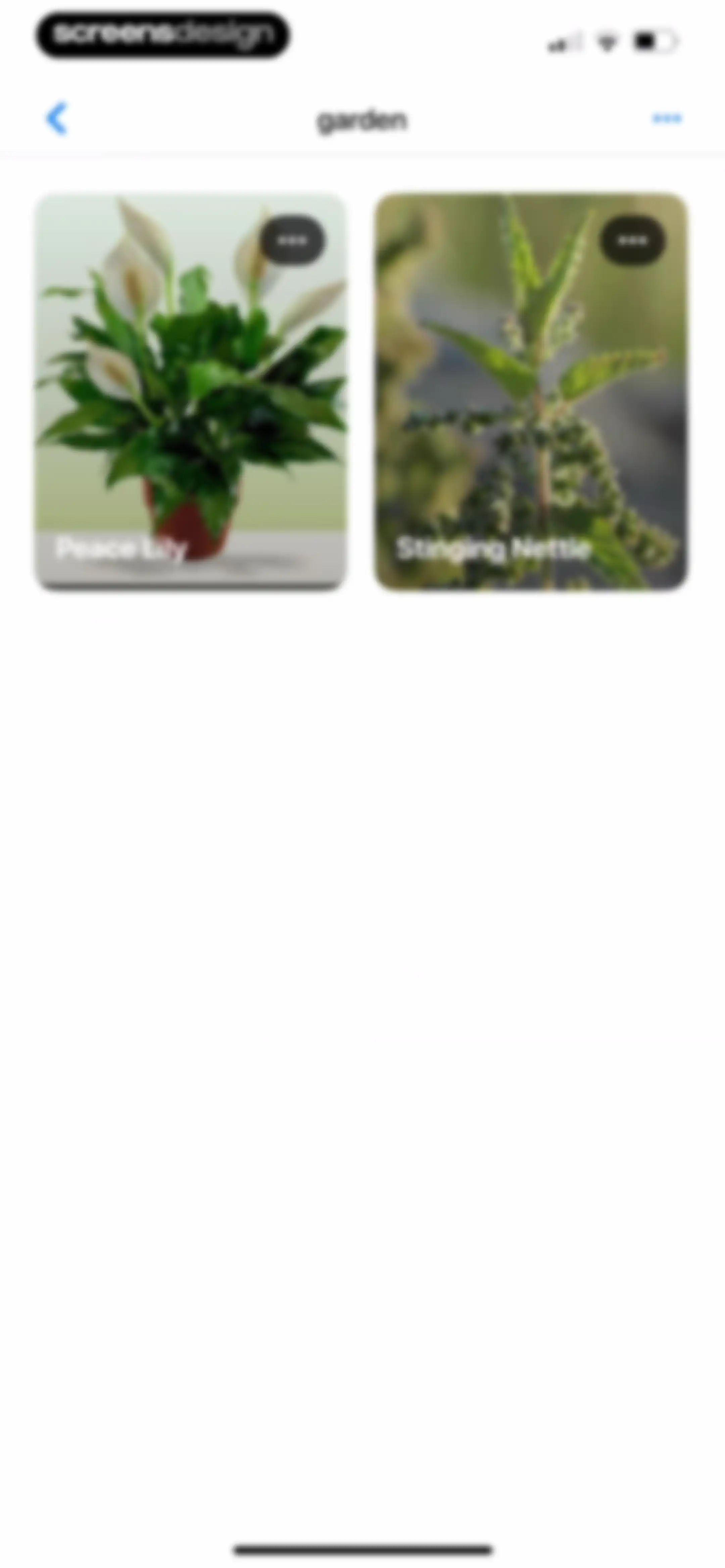 Plant App: Plant Identifier screen 129