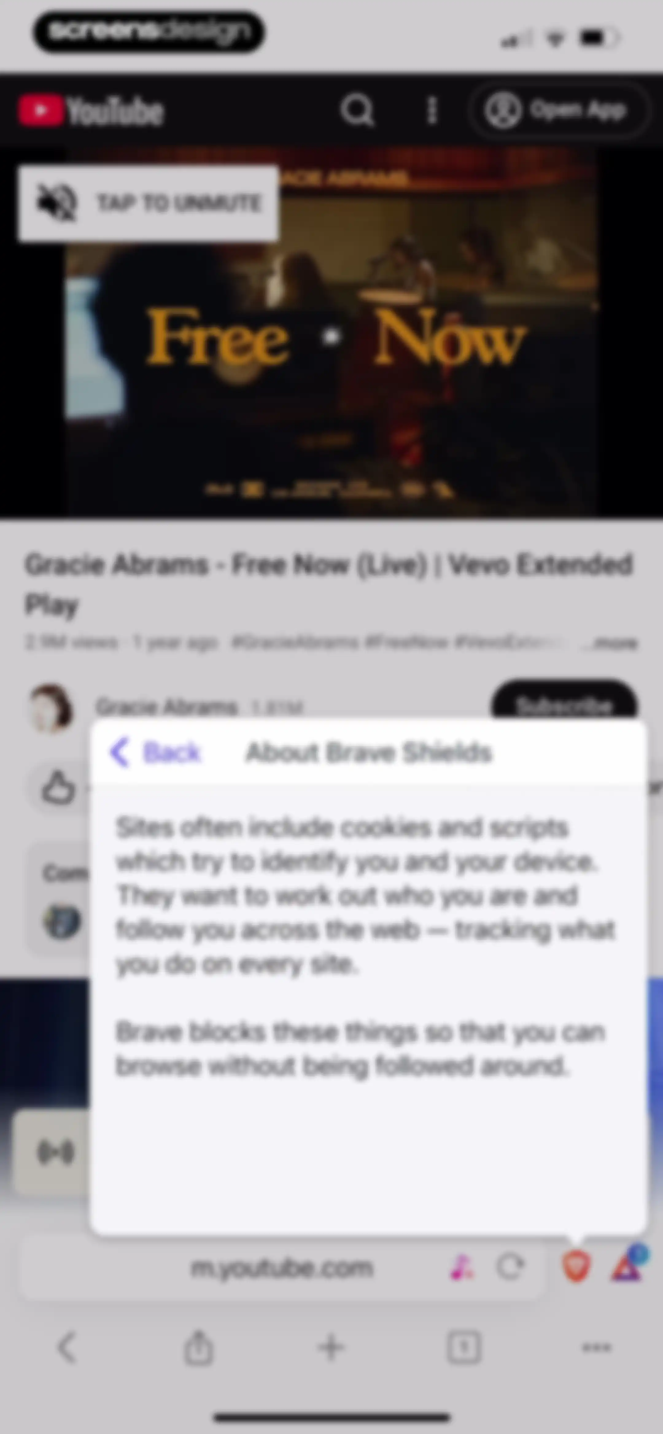 Brave Browser & Search Engine screen 24