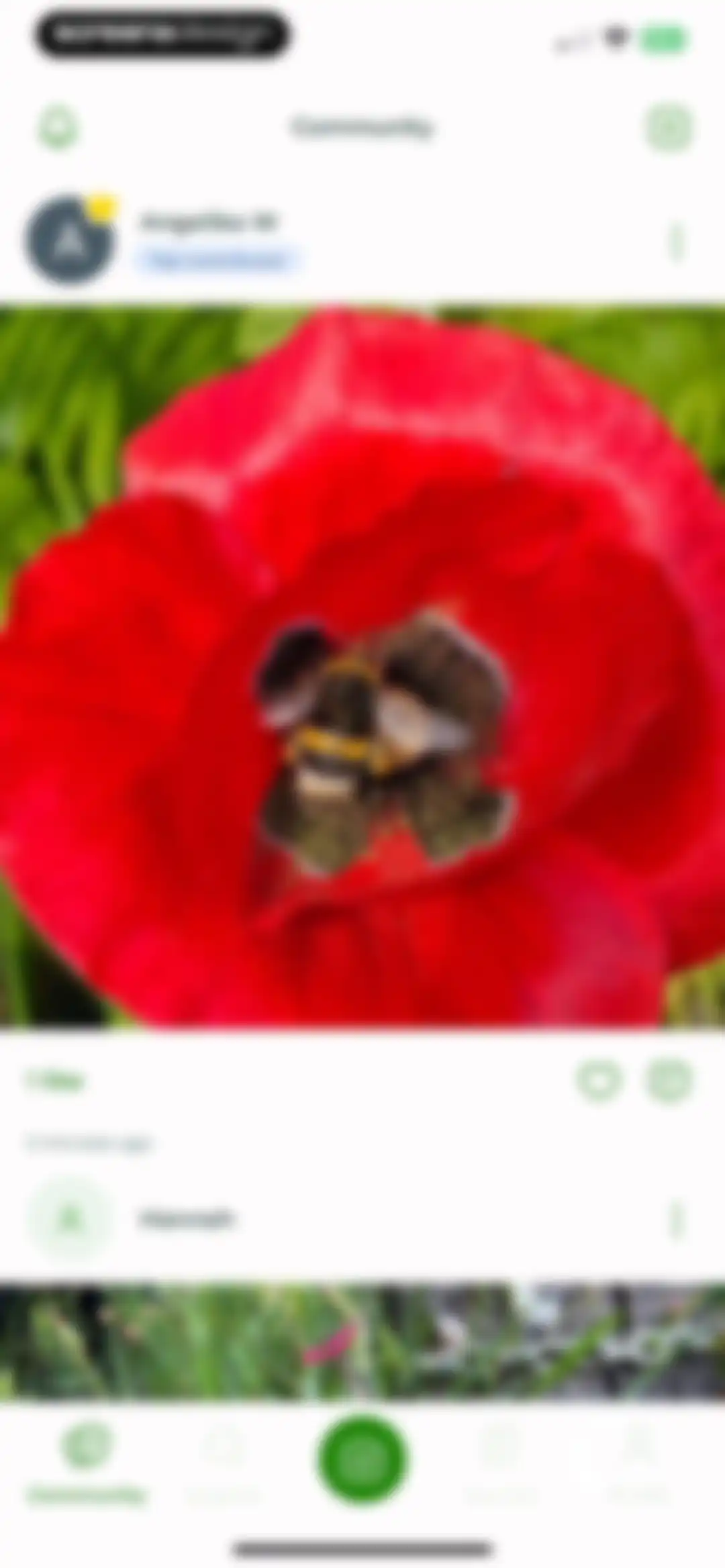 PlantSnap - Plant Scanner screen 12